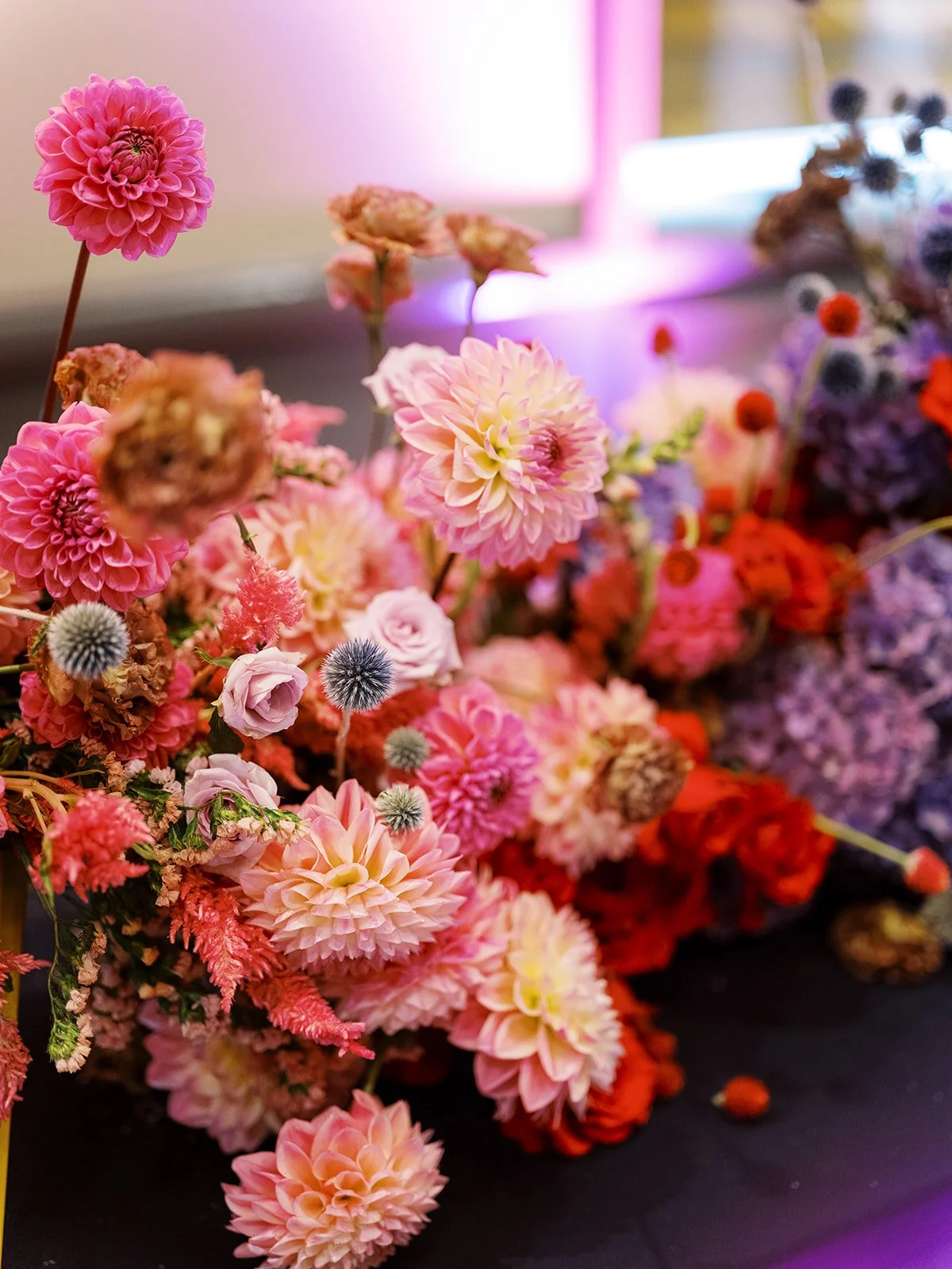 Close-up of pink and coral flowers with soft lighting and blurred colorful background.