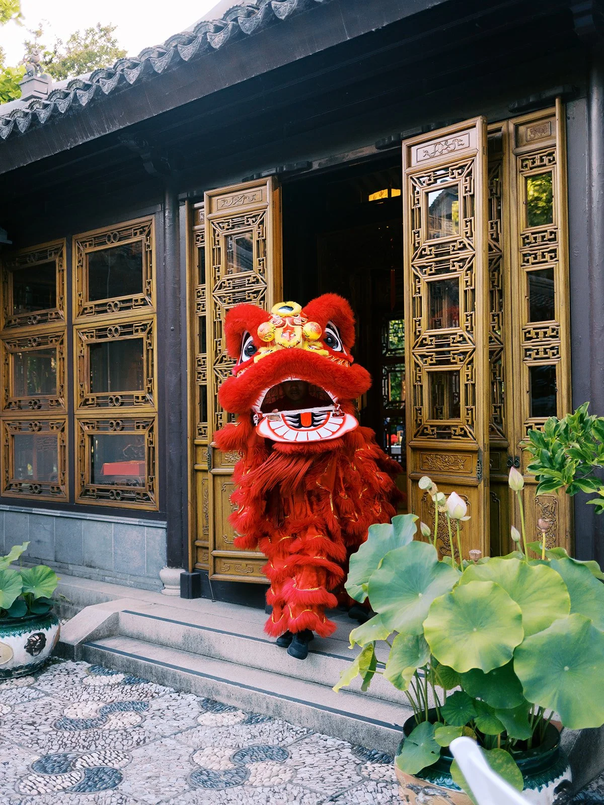 A red lion dance costume stands at the entrance of an ornate golden-latticed building at Lan Su Chinese Garden, lotus plants in the foreground and a pebbled courtyard below.