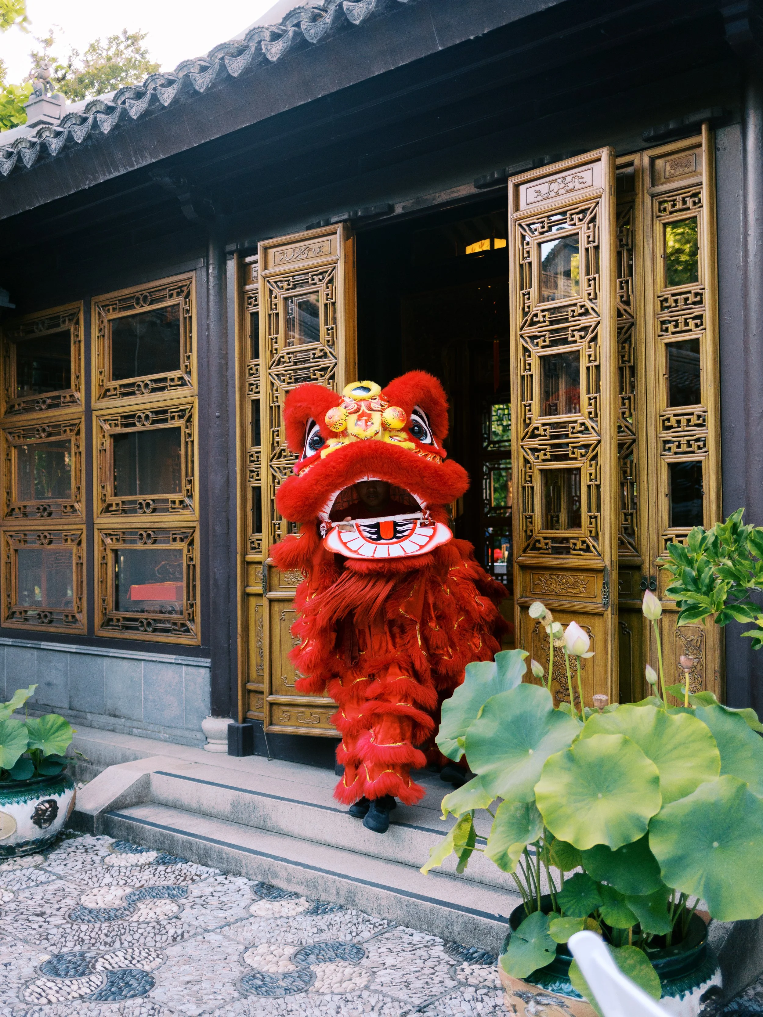 Traditional lion dancer entering through carved wooden doors at Lan Su Chinese Garden during a wedding celebration.