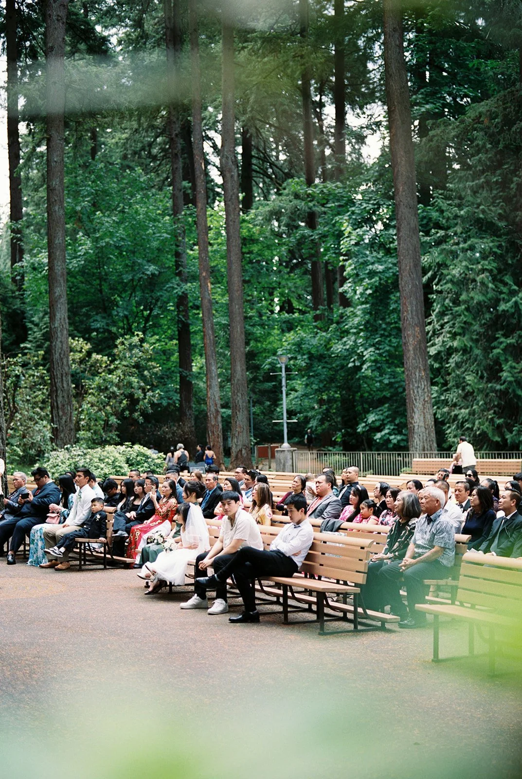Wedding guests seated on wooden benches in a forest ceremony space surrounded by tall evergreen trees.