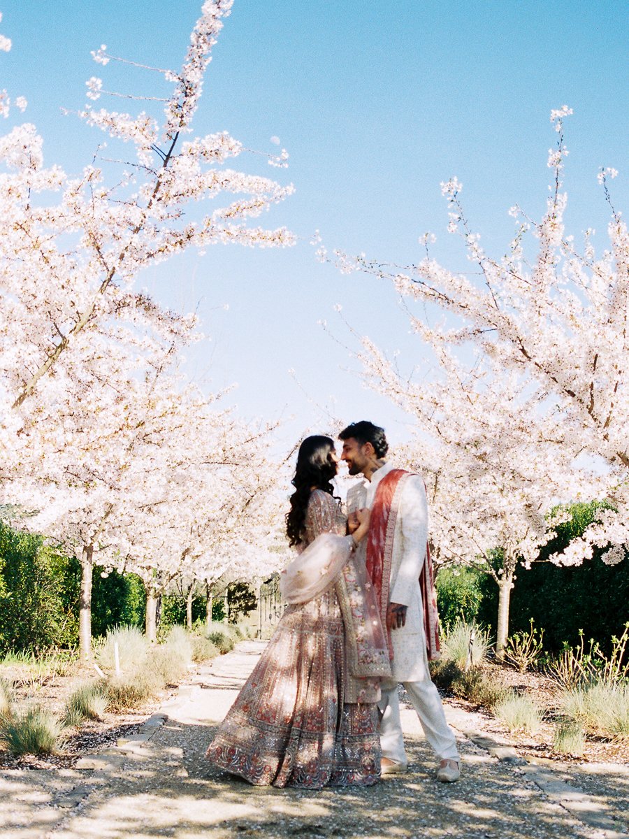 Romantic South Asian couple embracing beneath blooming cherry blossom trees during outdoor wedding portraits.