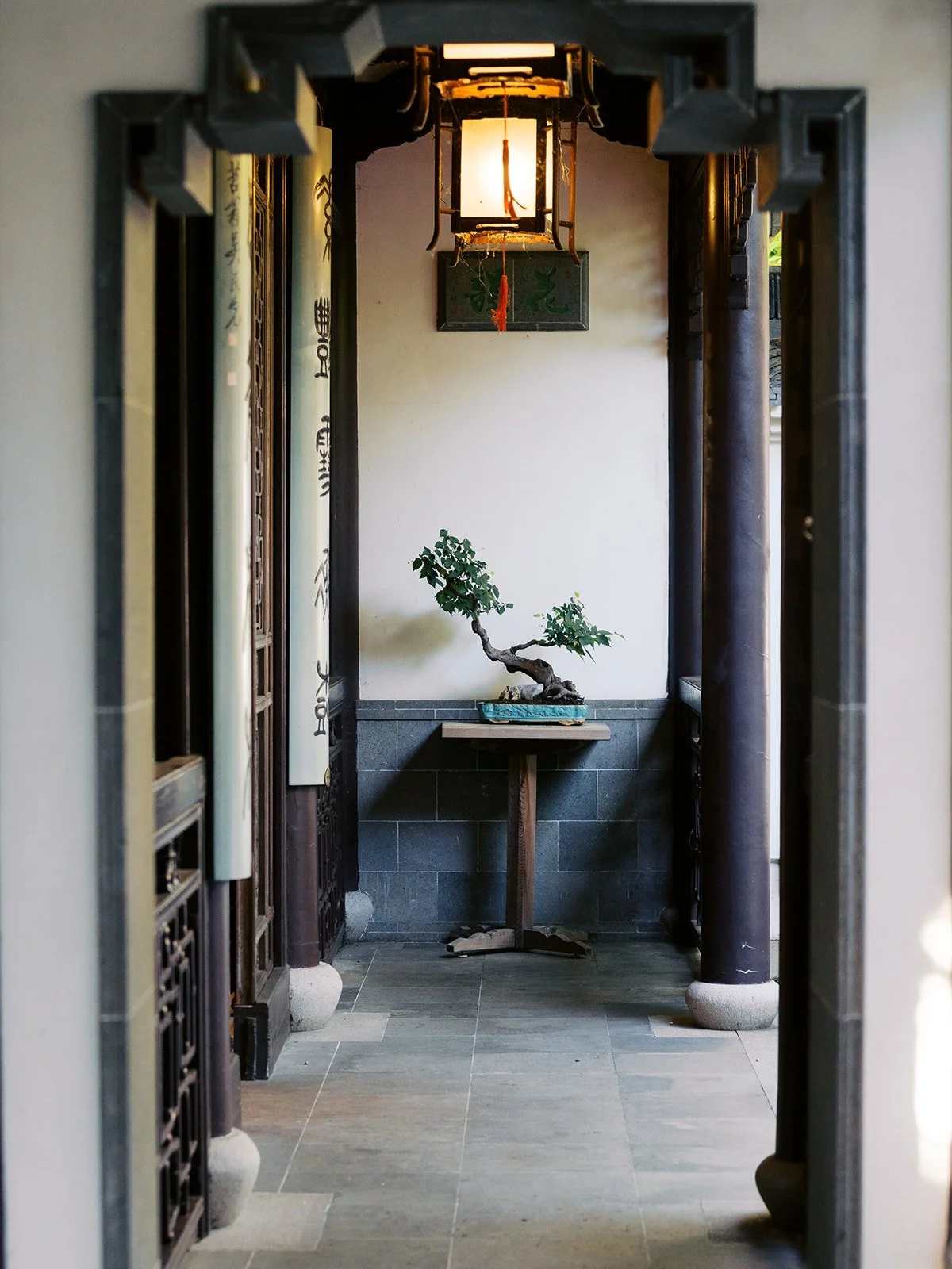 A small bonsai tree on a wooden stand is framed by a doorway inside Lan Su Chinese Garden, a glowing traditional lantern hanging above and calligraphy scrolls visible to the left.