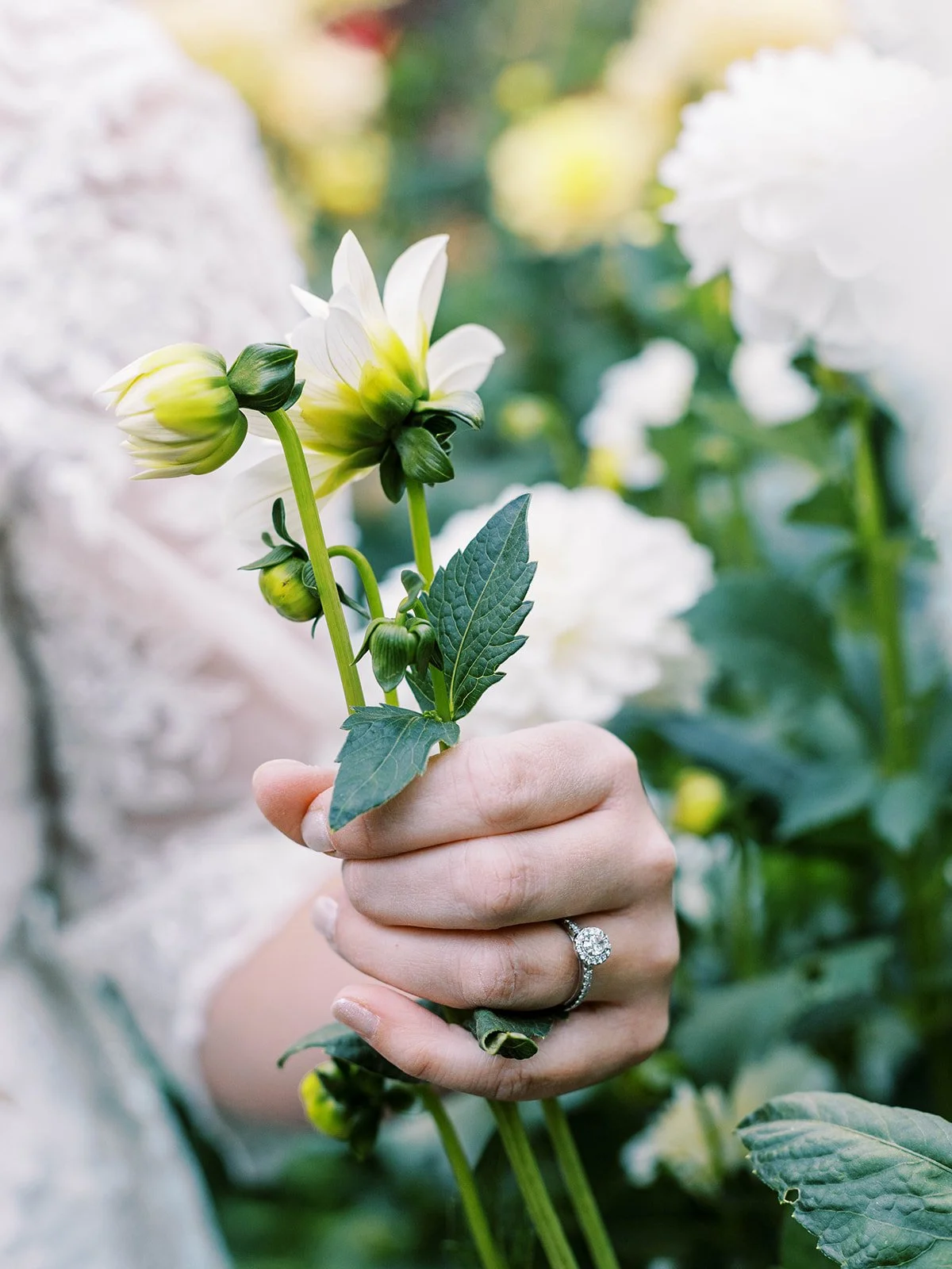 private-residence-wedding-mylyn-wood-photography-20.jpg