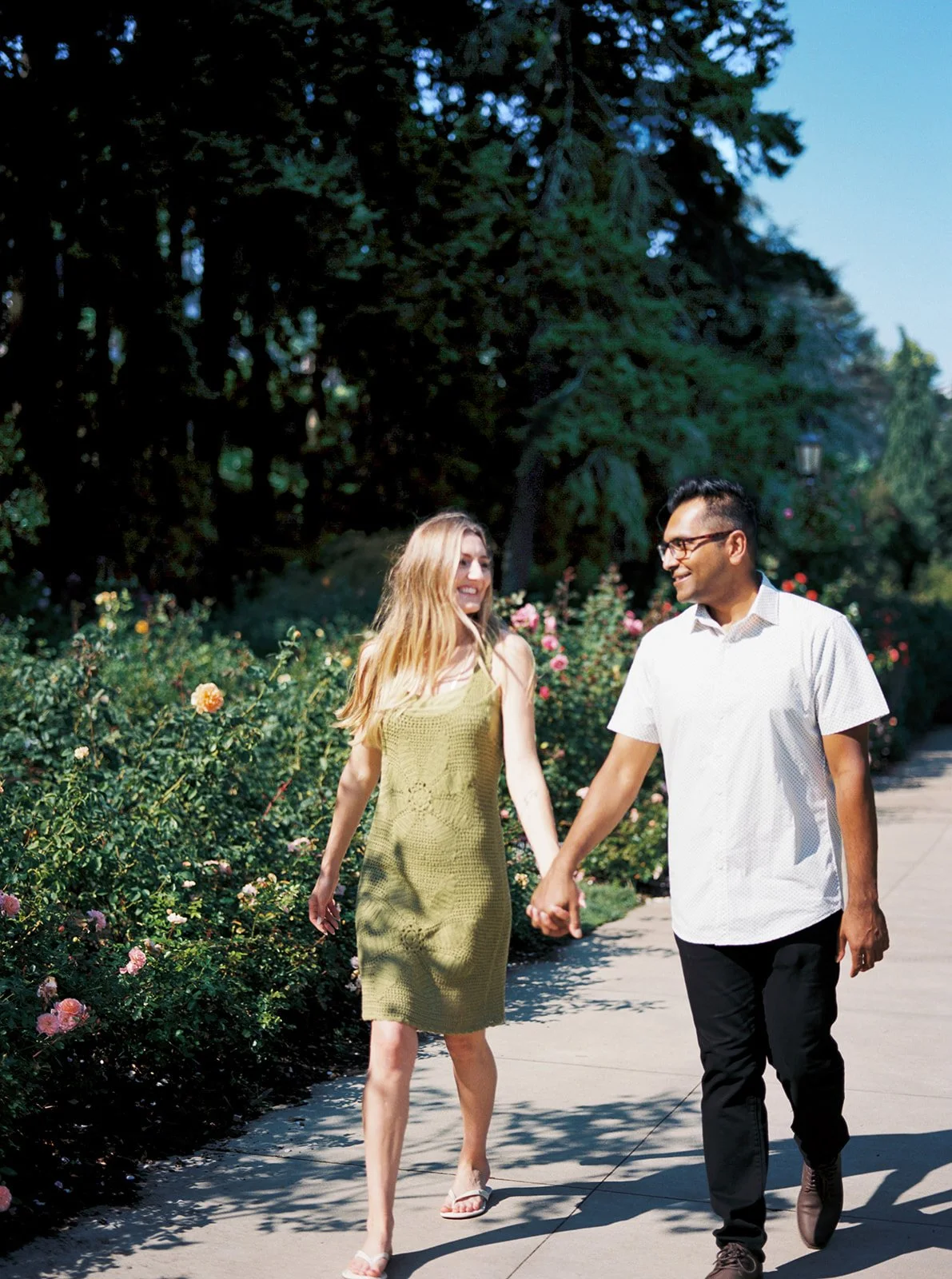 A couple holding hands and walking along a sunny garden path lined with colorful rose bushes.