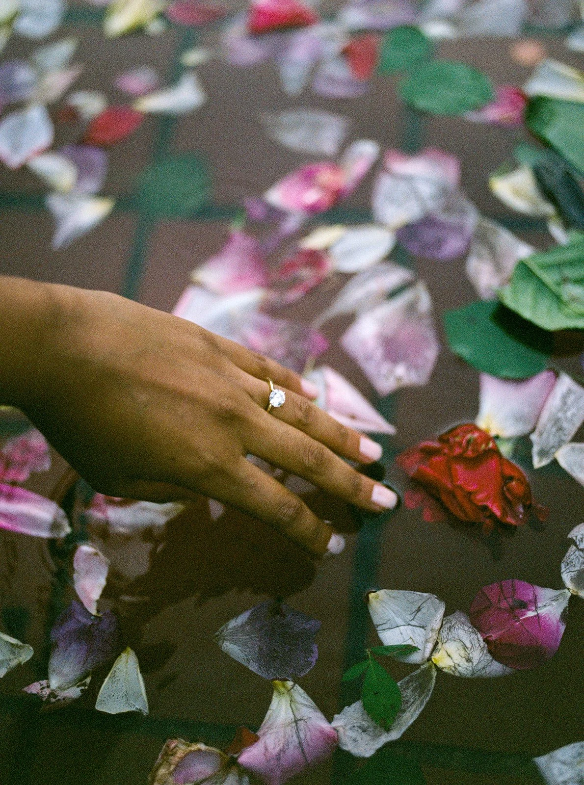 Close-up of an engagement ring resting among scattered pink and red rose petals.