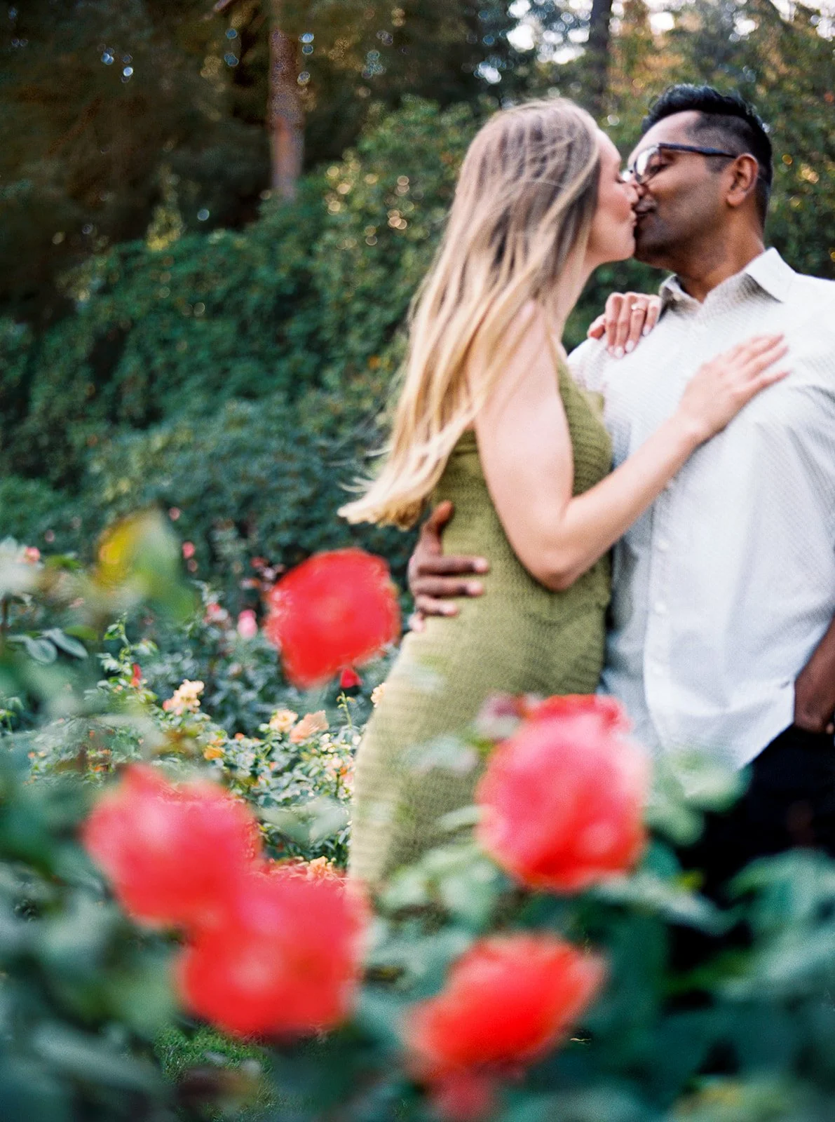 A couple kissing among rose bushes, red roses softly blurred in the foreground.