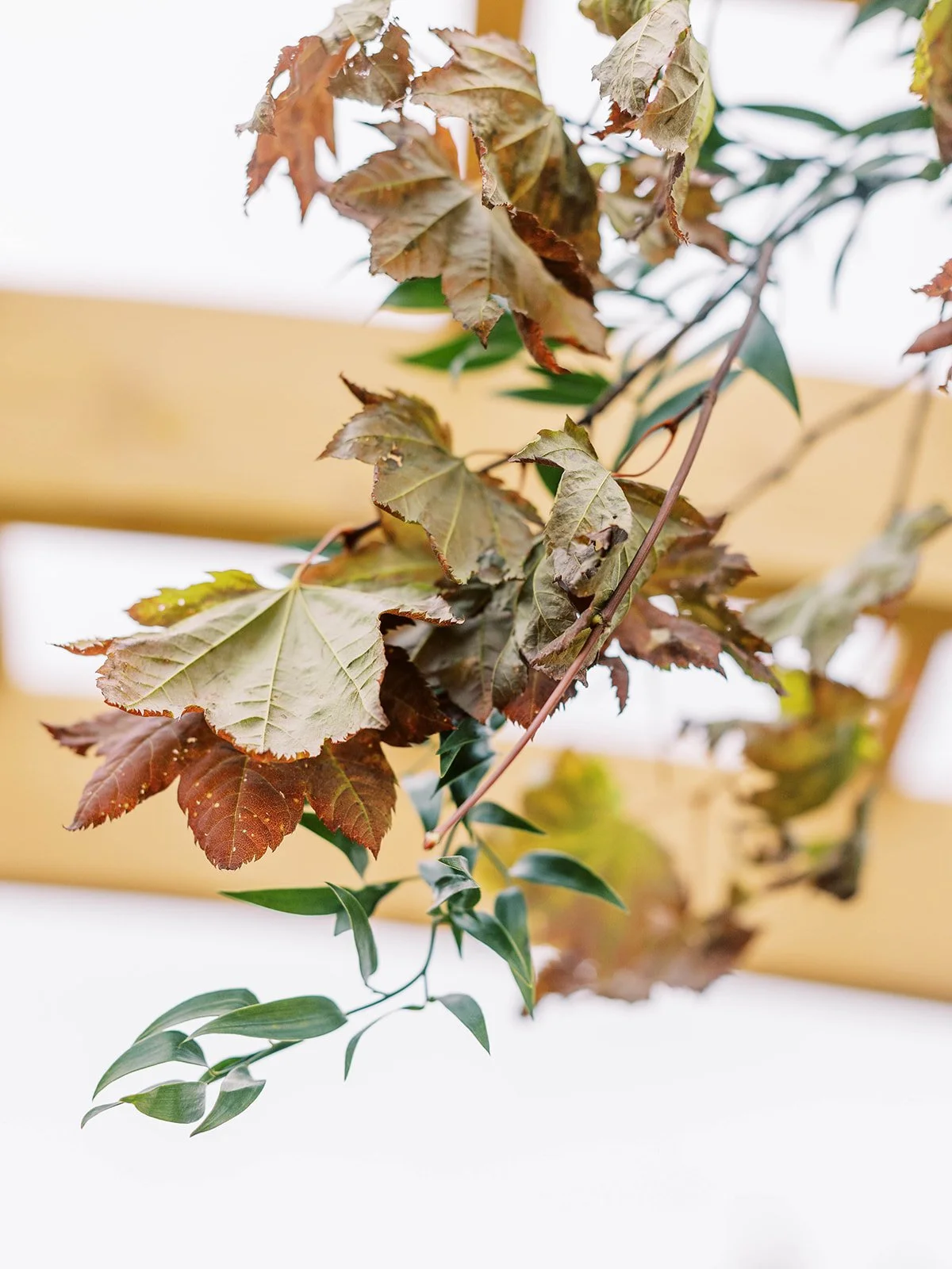 private-residence-wedding-mylyn-wood-photography-29.jpg