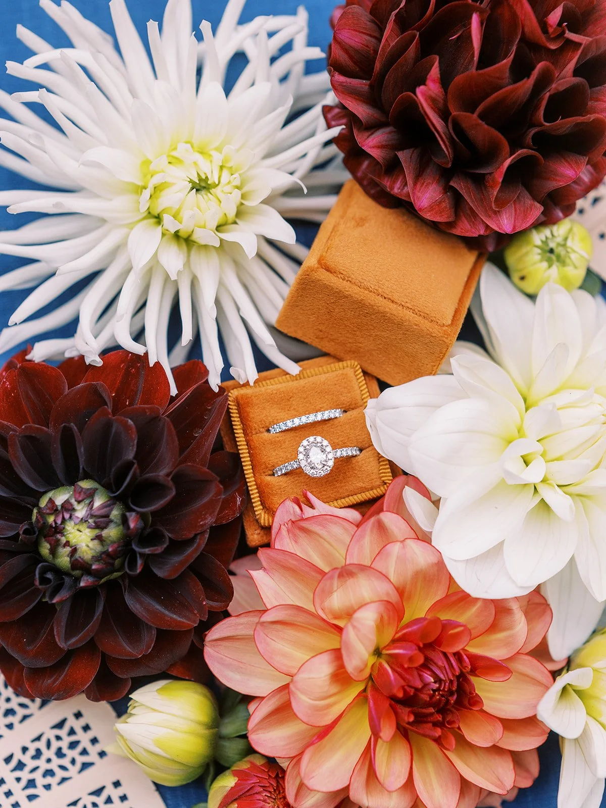 private-residence-wedding-mylyn-wood-photography-01.jpg