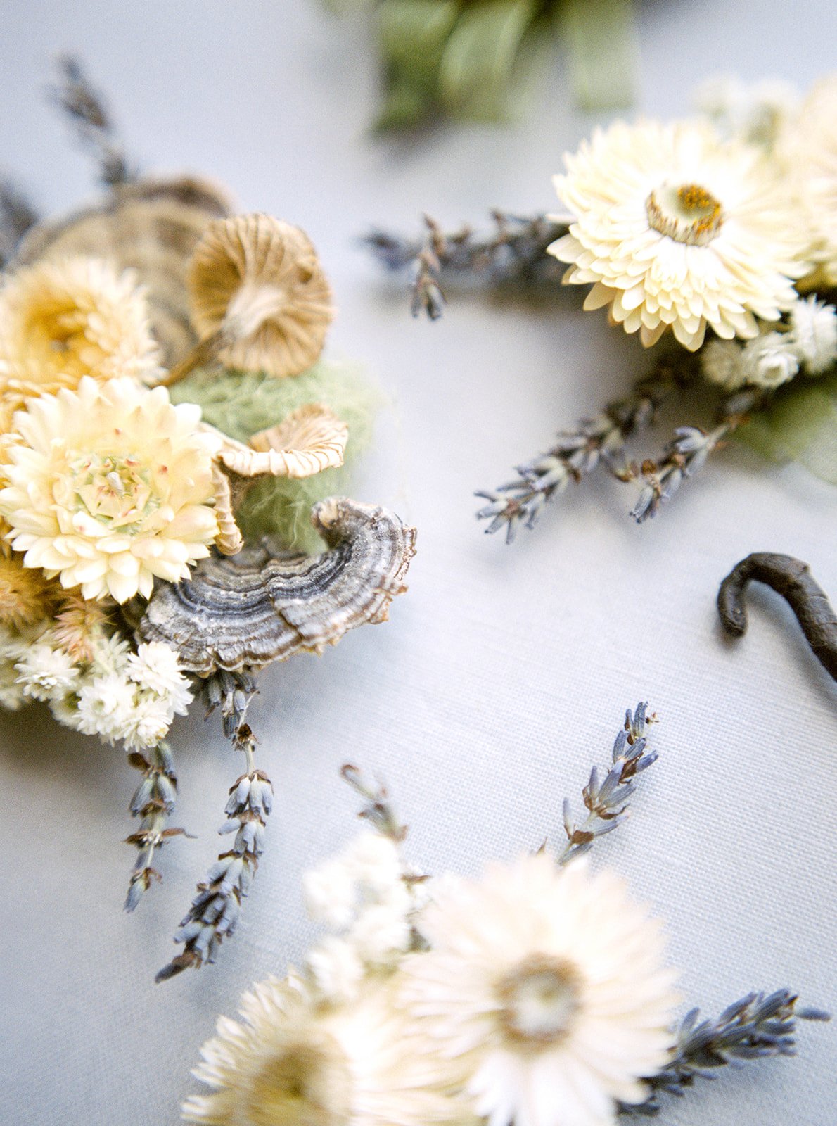 oregon-coast-elopement-mylyn-wood-photography-04.jpg