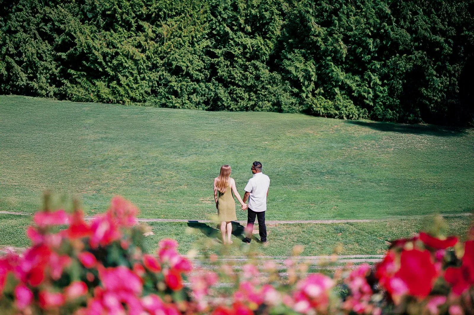 A couple walking hand-in-hand away from the camera across a wide green lawn, pink roses blurred in the foreground.