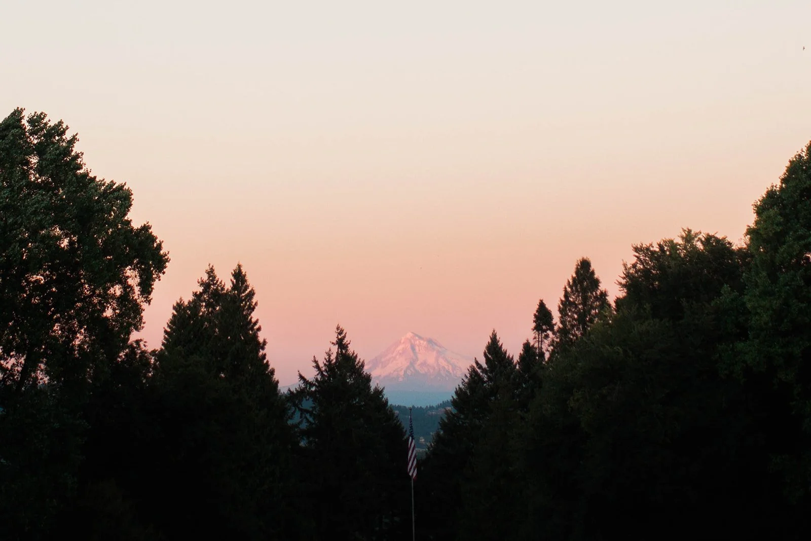 Mount Hood visible through the trees at sunset from Lewis and Clark Estate Gardens in Portland, Oregon.