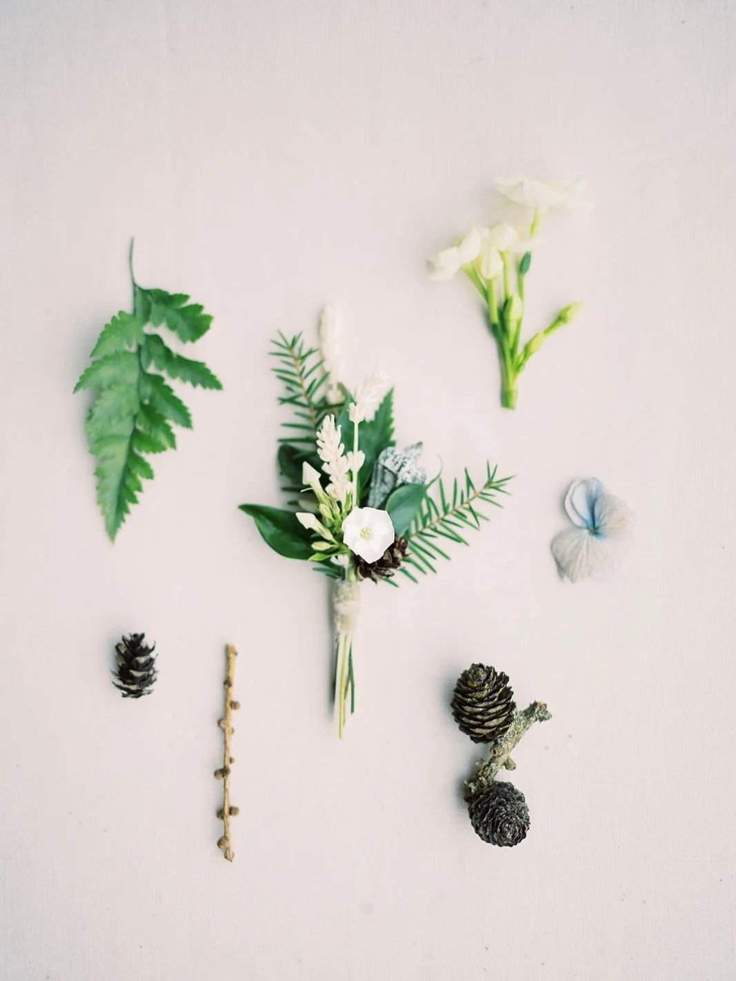 White floral boutonniere arranged with fern leaves, evergreen sprigs, pinecones, and natural details.