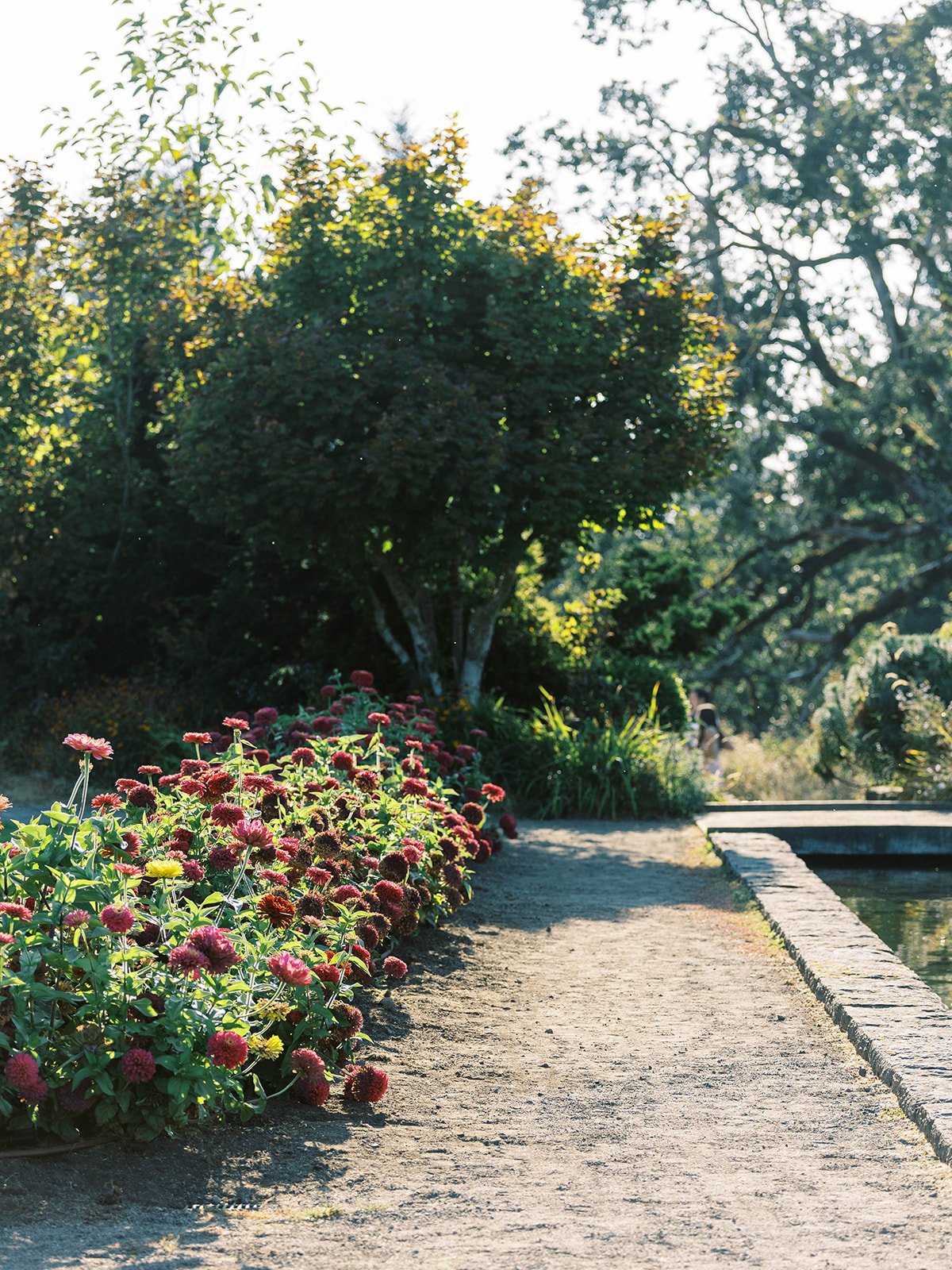Garden walkway with blooming flowers and trees, scenic outdoor wedding location