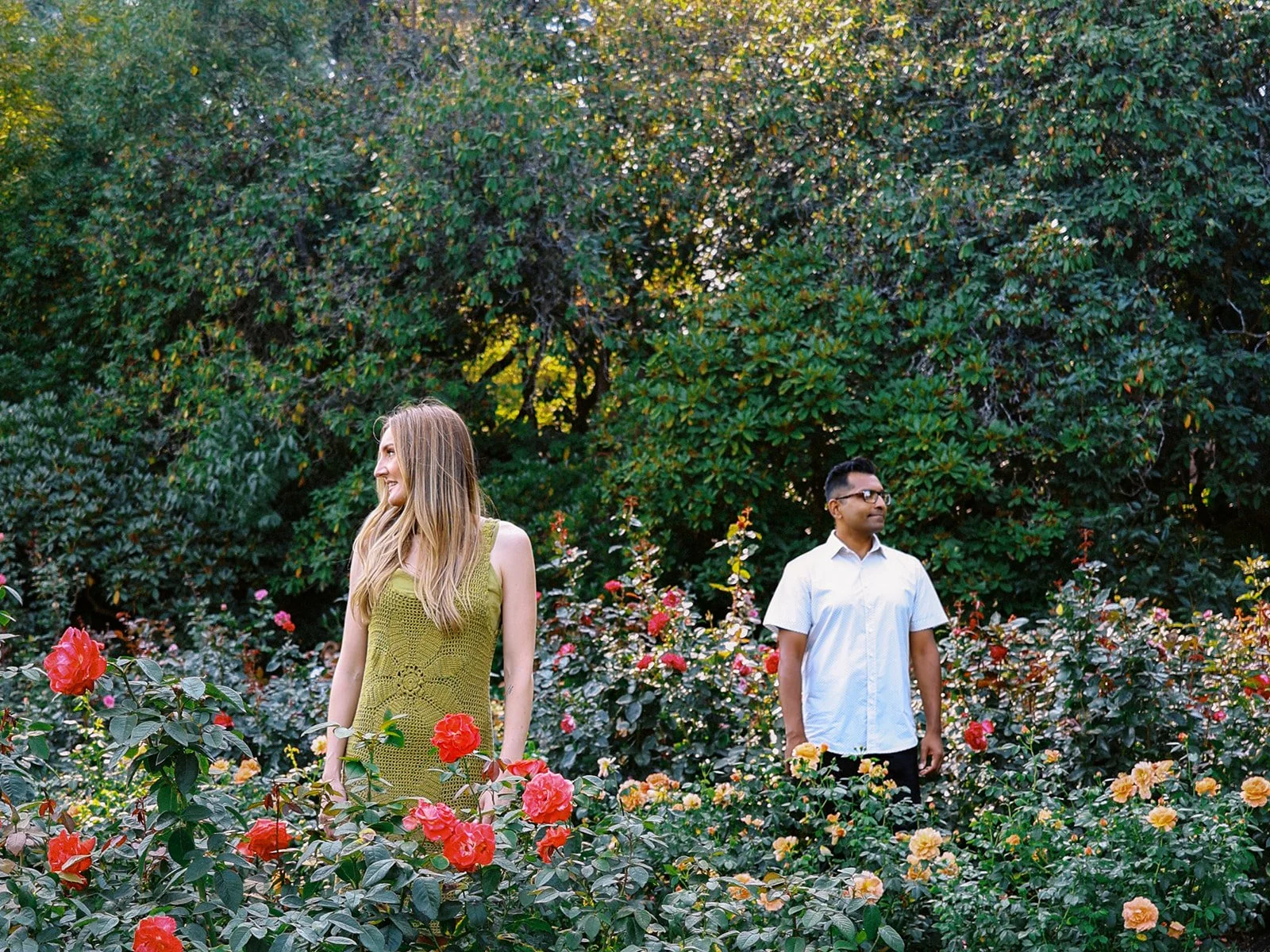 A couple standing apart among masses of red and orange roses, each gazing in a different direction.