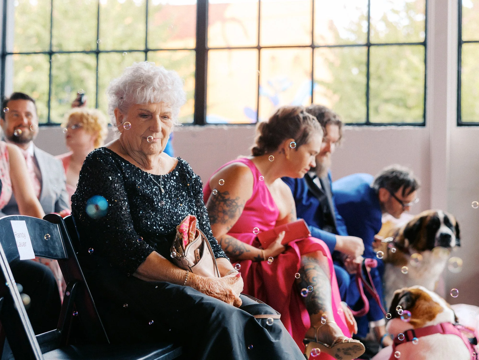 Wedding guests sit beside two Saint Bernards as bubbles float through the ceremony space.