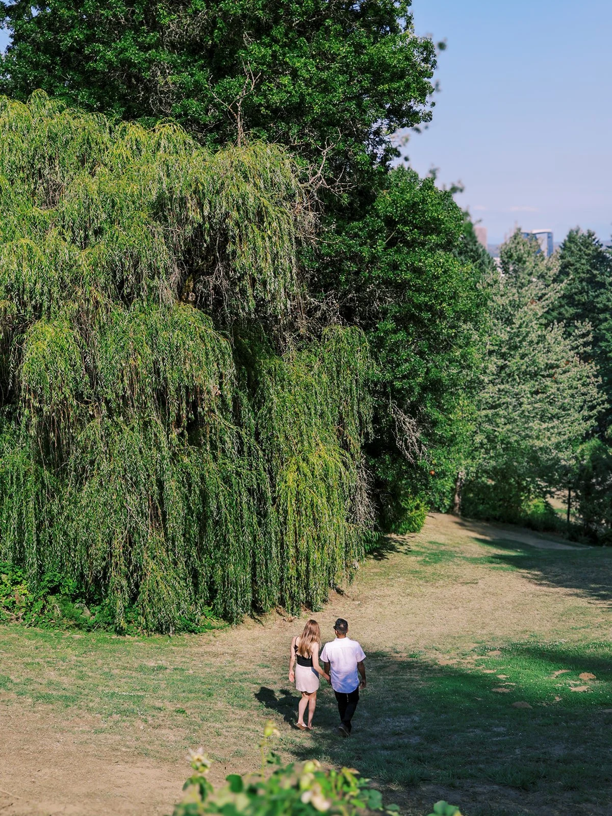A couple walking hand-in-hand away from the camera toward a massive weeping willow tree, the Portland skyline visible to the right.