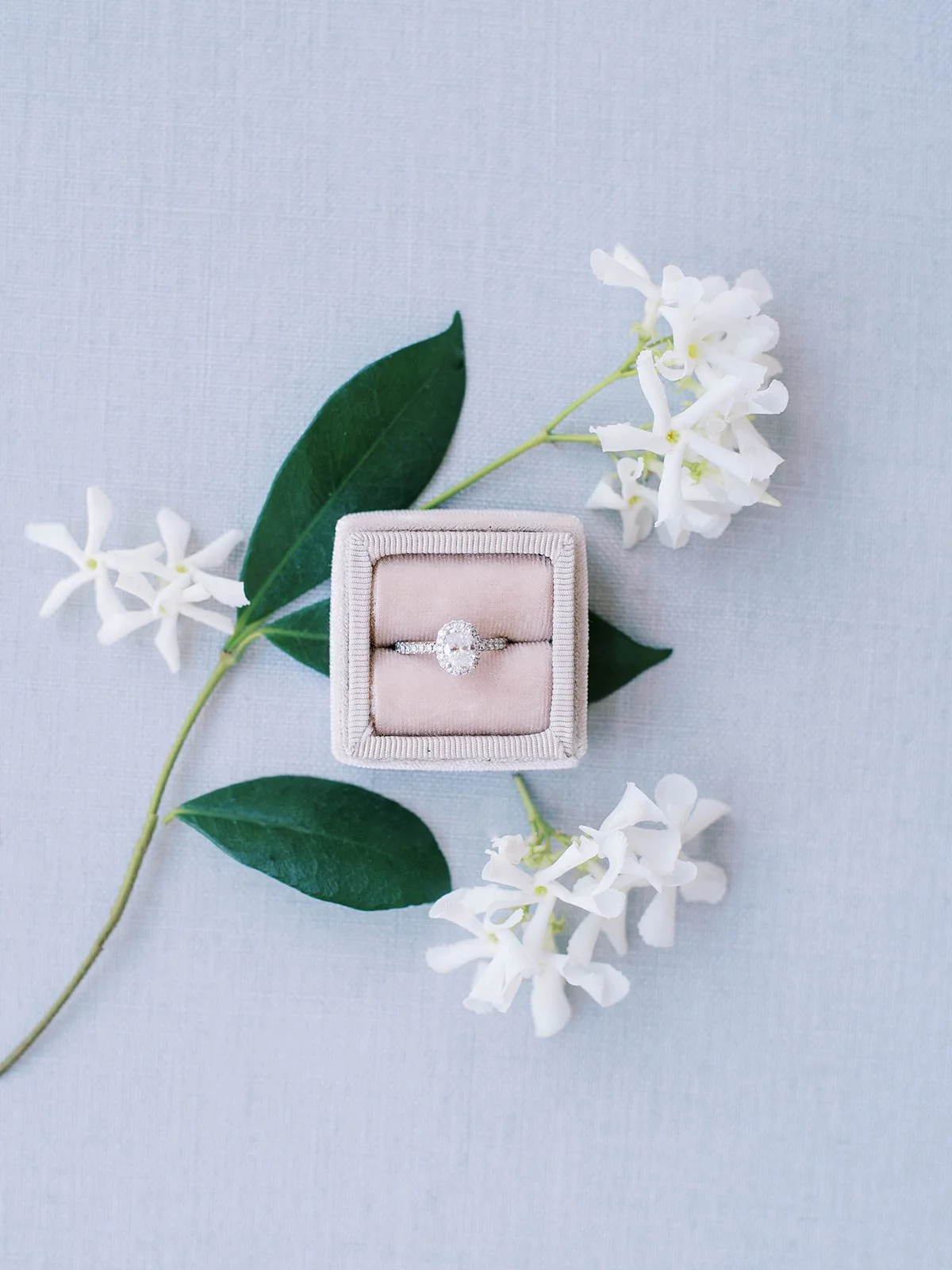 Oval diamond engagement ring in blush velvet box surrounded by white jasmine flowers on pale blue fabric.