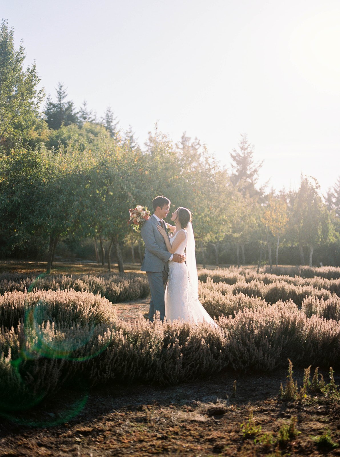 Bride and groom embracing in sunlit field with soft golden light and trees