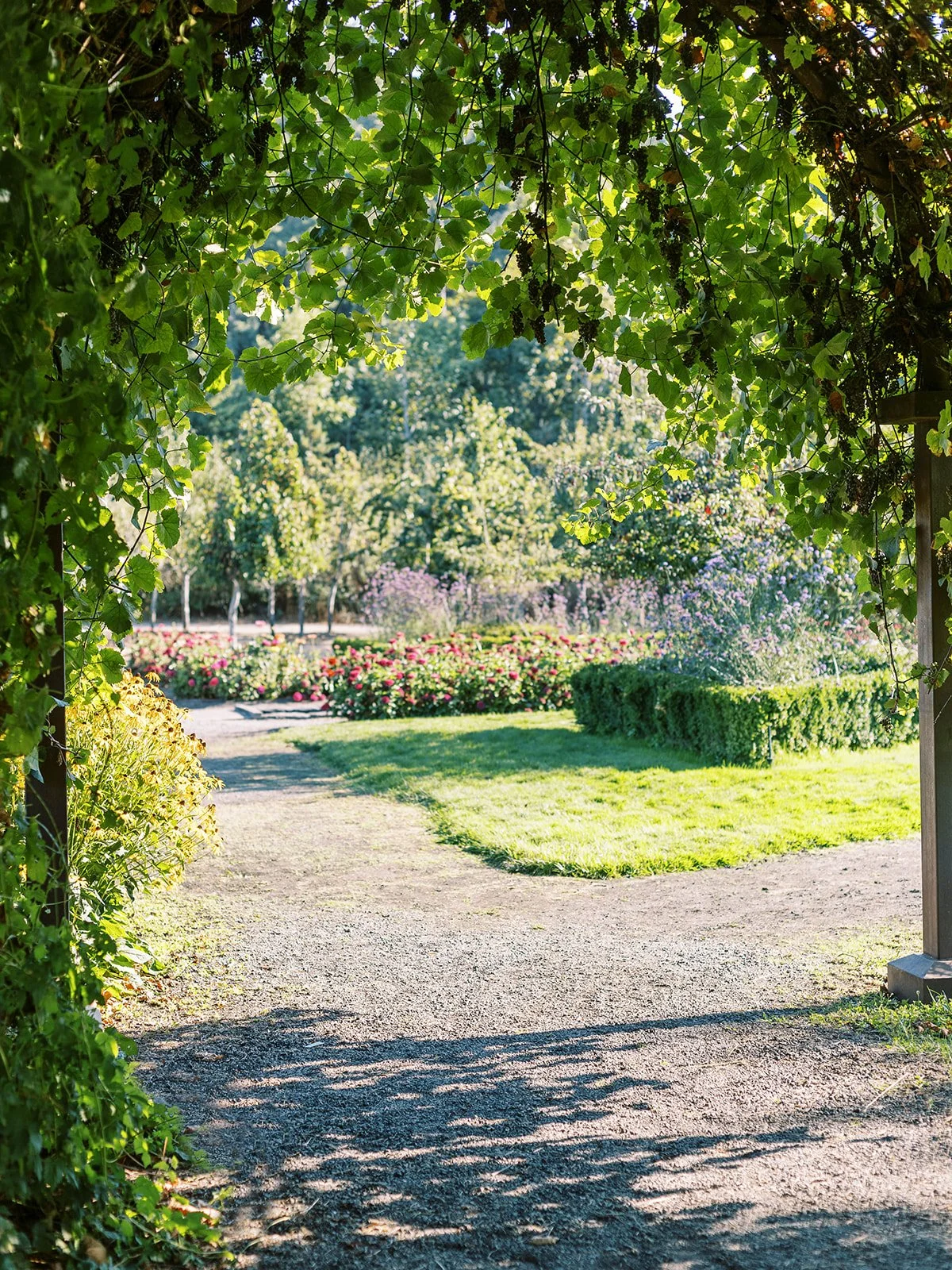 Garden path framed by greenery and vines, outdoor wedding venue setting