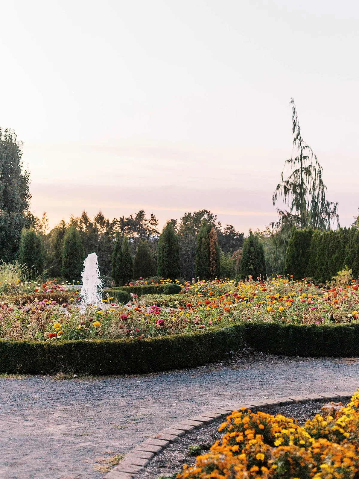 Garden landscape with blooming flowers, trimmed hedges, and a fountain at dusk