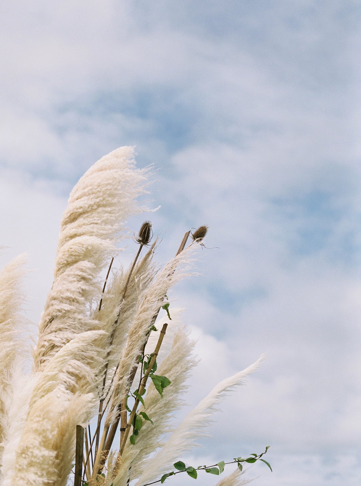 oregon-coast-elopement-mylyn-wood-photography-11.jpg