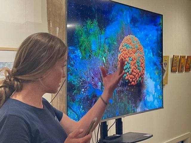 Holly Baird’s Video &amp; Photographic Presentation 