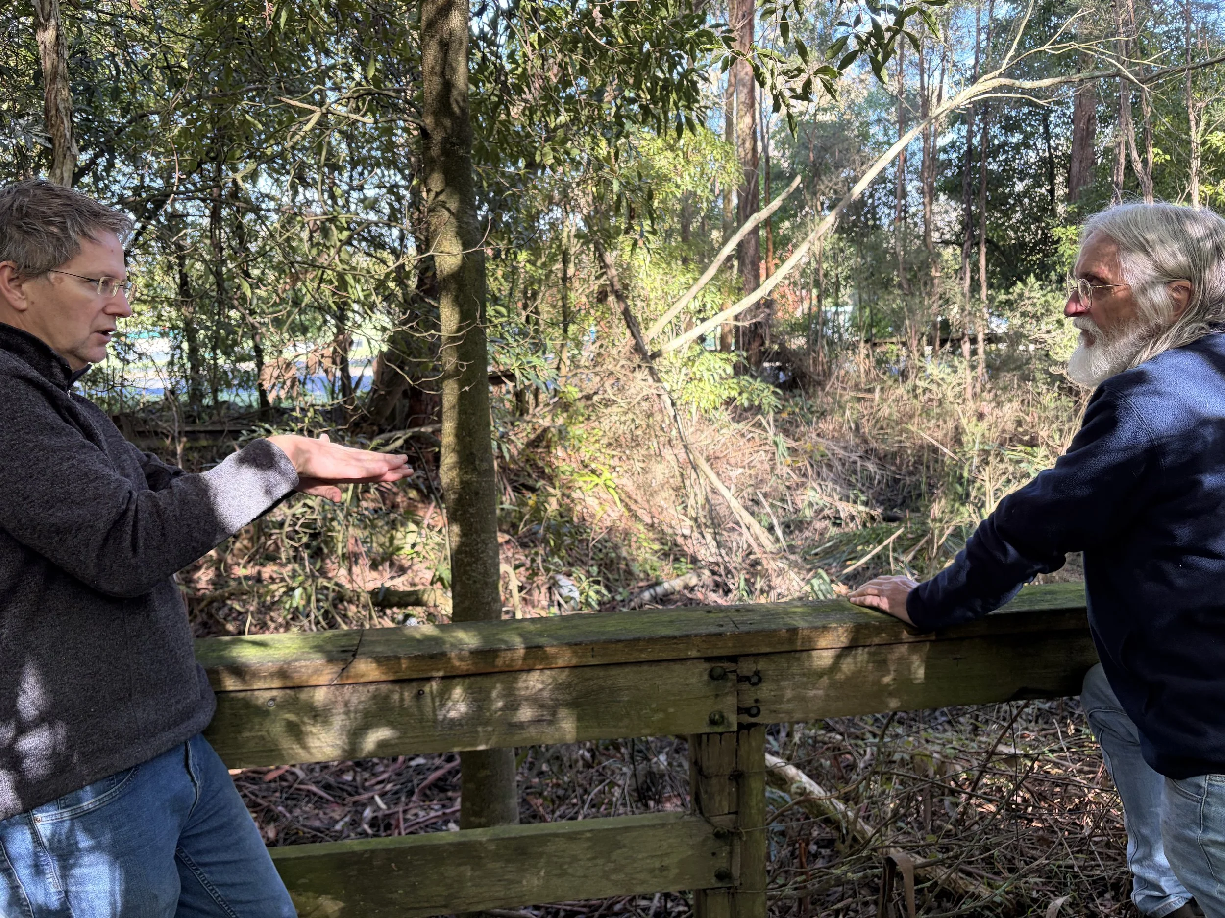 🌿 Town Landcare Project Update – Snowy West Landcare Group 