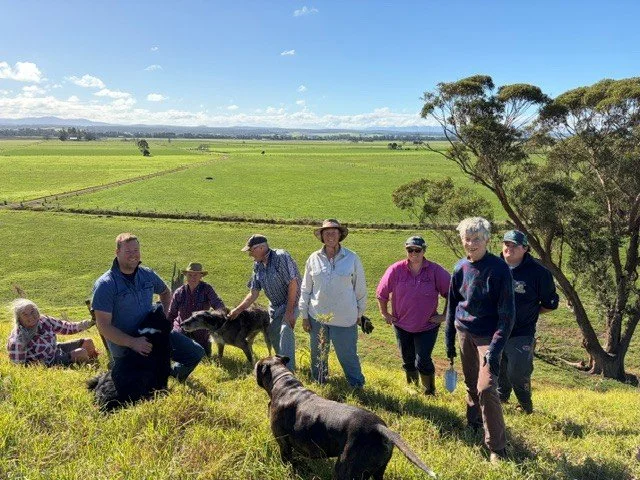 Escarpment Restoration In Newmerella