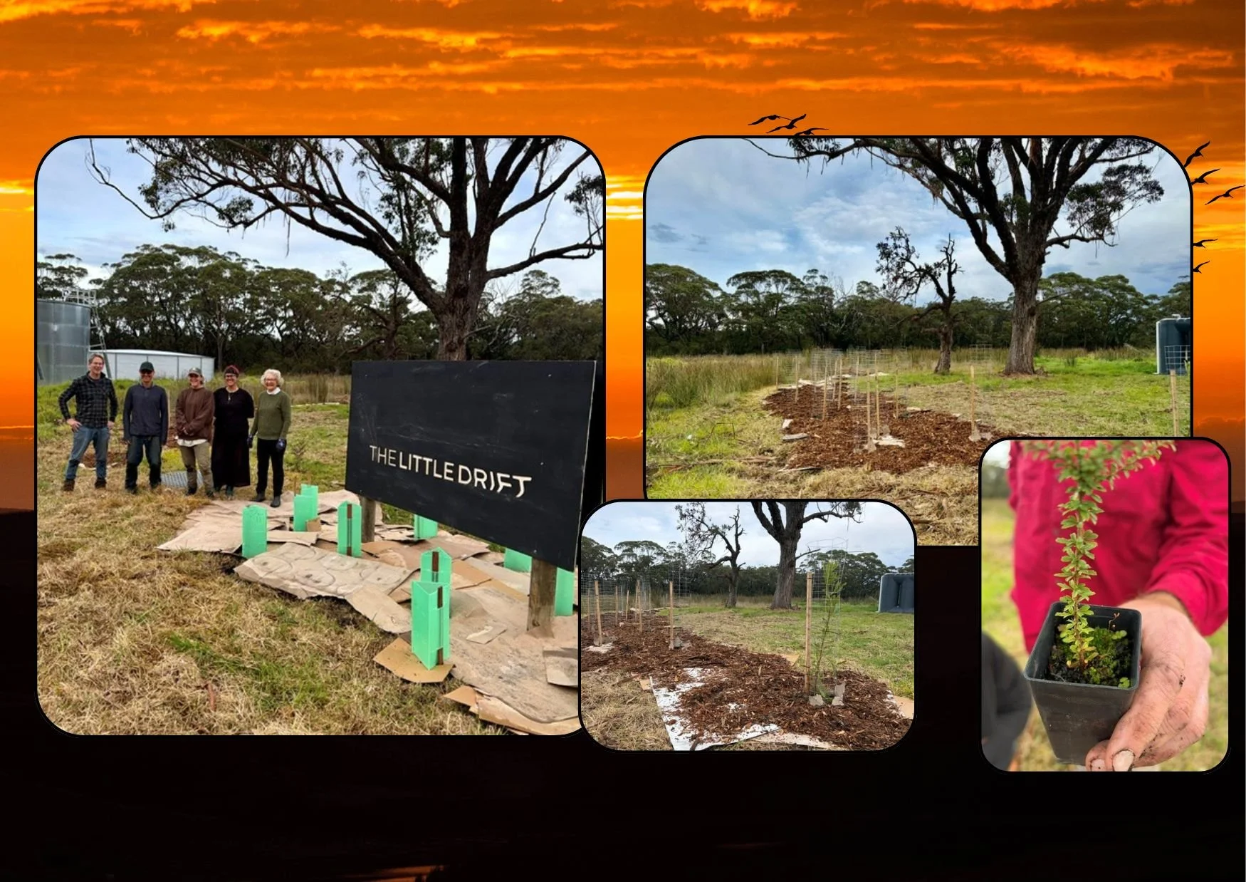 Marlo Landcare Members Continue to Grow Nature at Sailors Grave Brewery