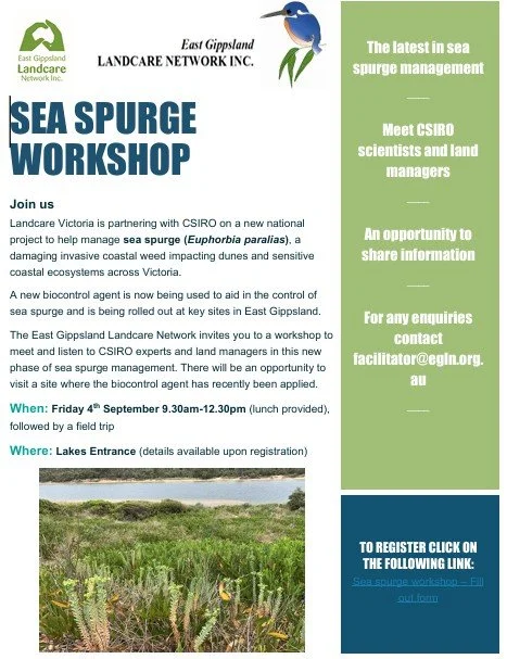 Sea Spurge Workshop Lake Entrance
