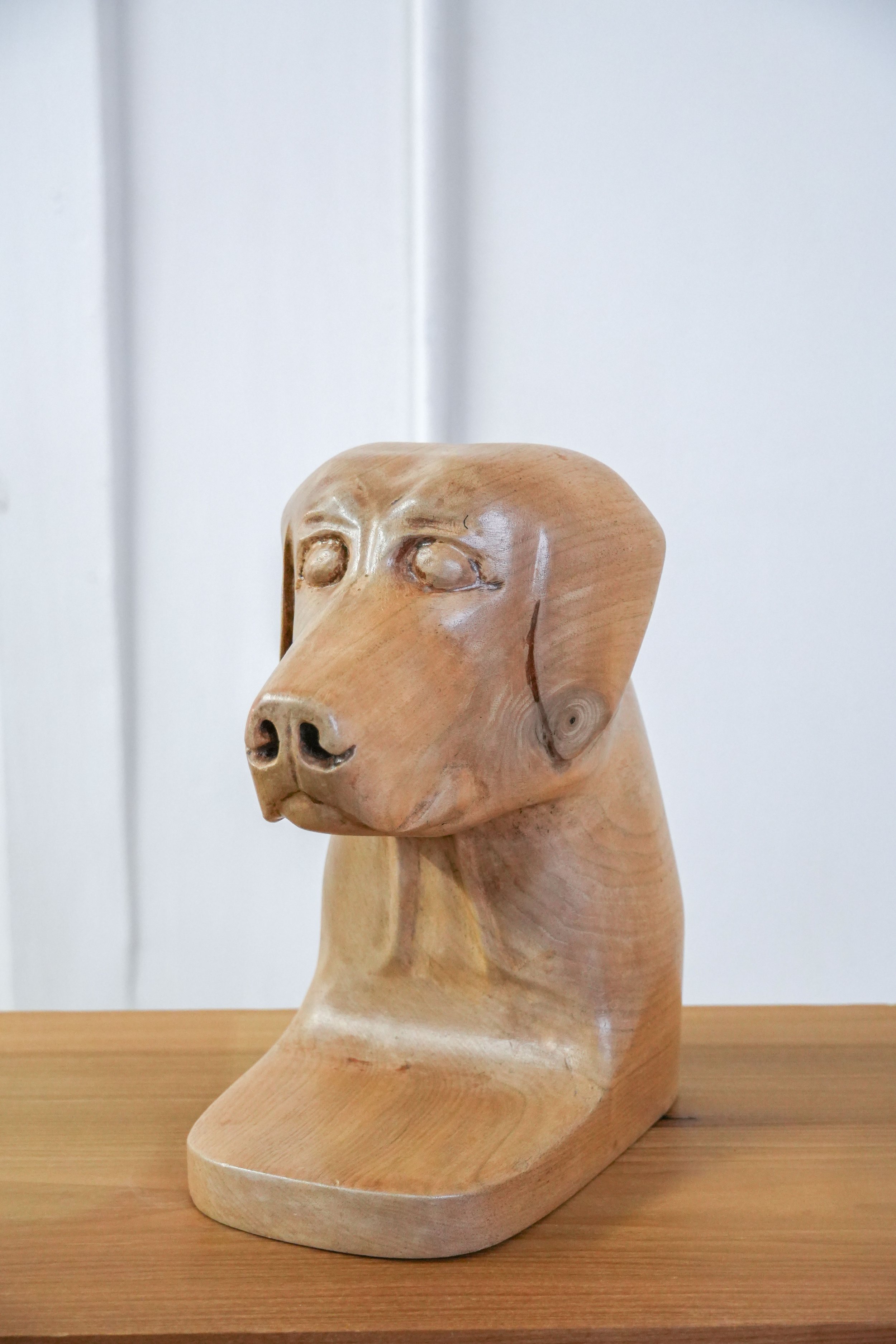 Dog1.jpg