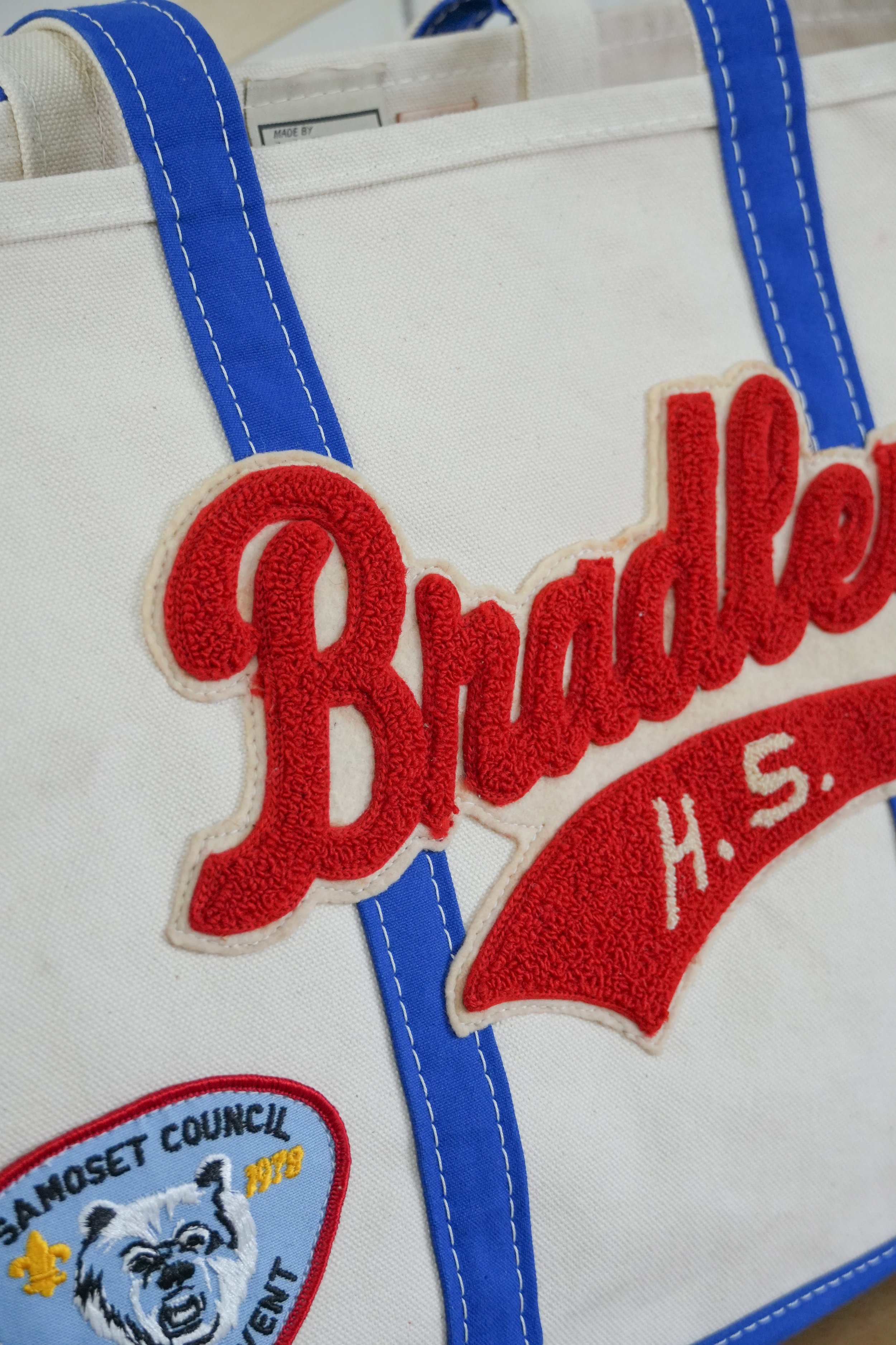 BlueBean4.jpg