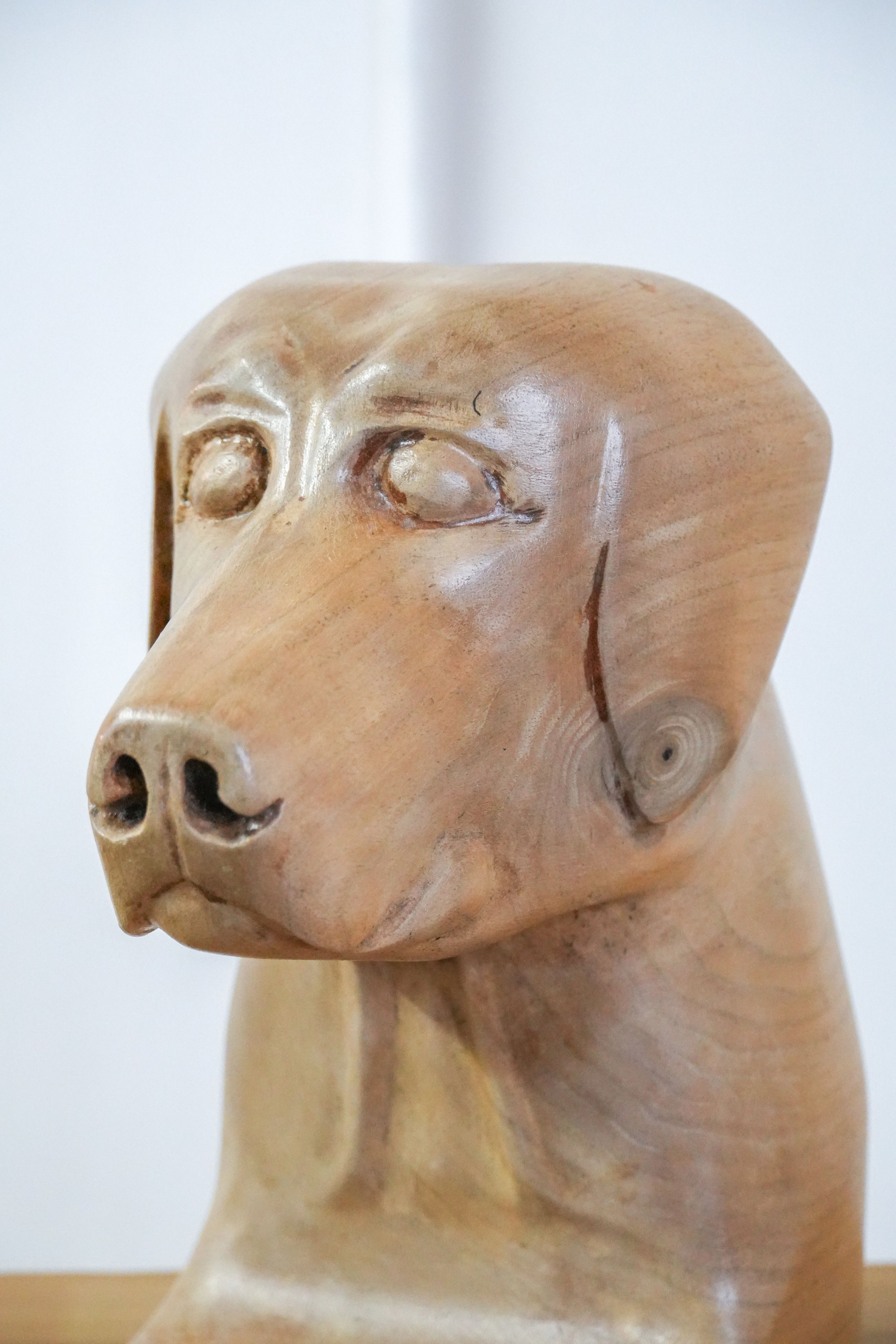 Dog2.jpg