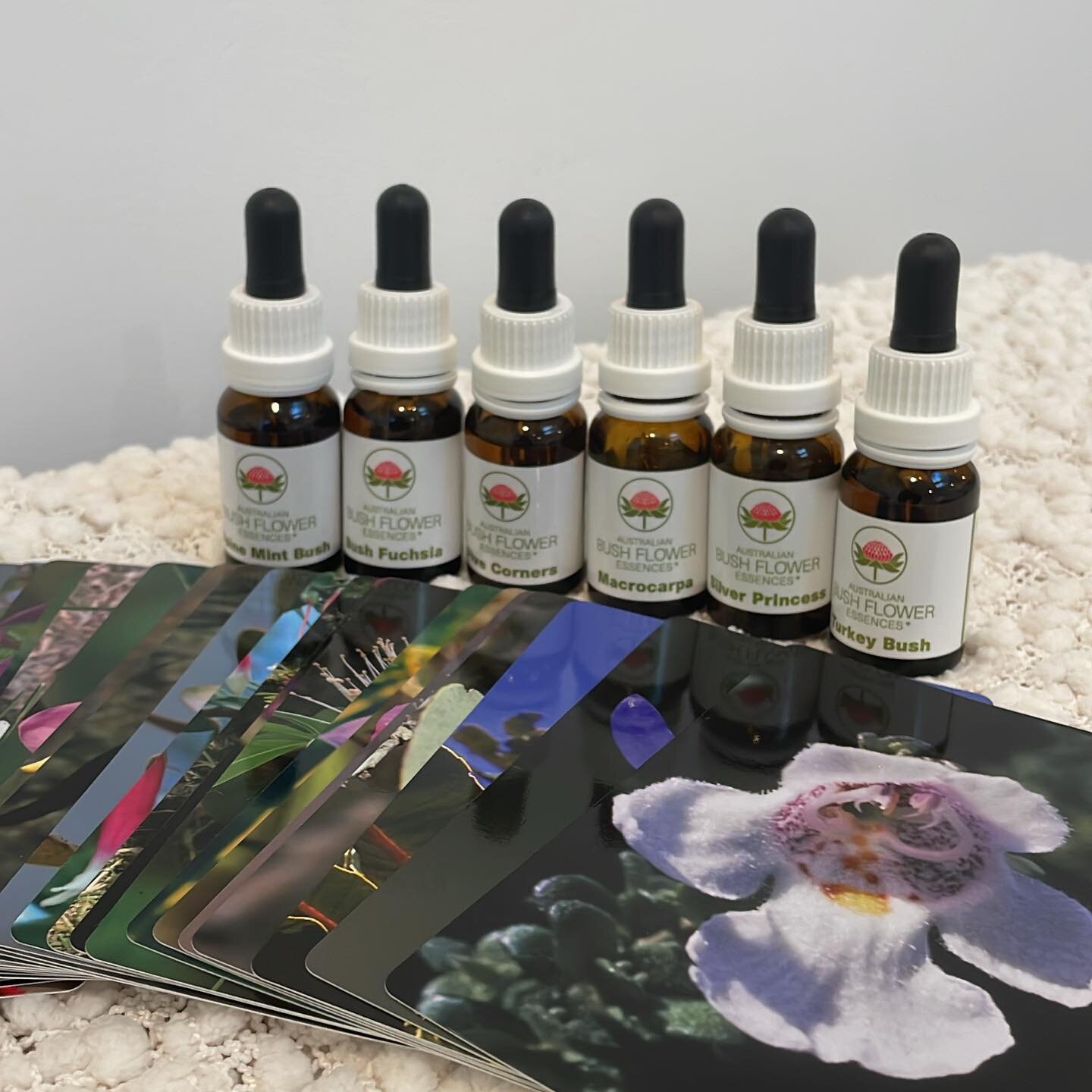🌺Australian Bush Flower essences 🌺help balance emotions 🌺contact me to find out how they work 🌺contact me if you want a remedy made up just for you #etre #wellbeing #flower #australianbushfloweressences #emotions #life #health