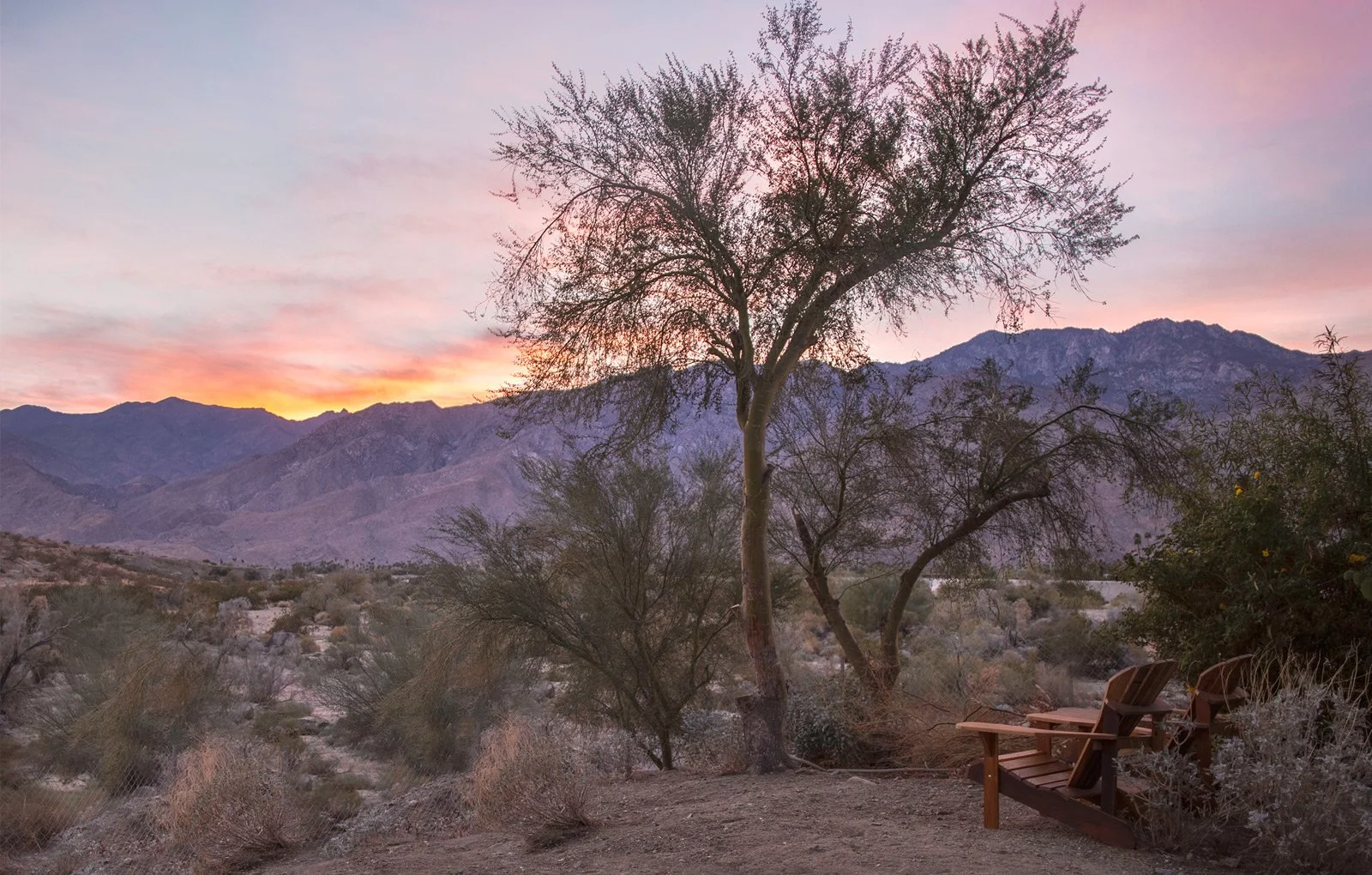 A desert landscape at sunset with mountains in the background, a large leafless tree, desert bushes, and two wooden chairs on the ground.