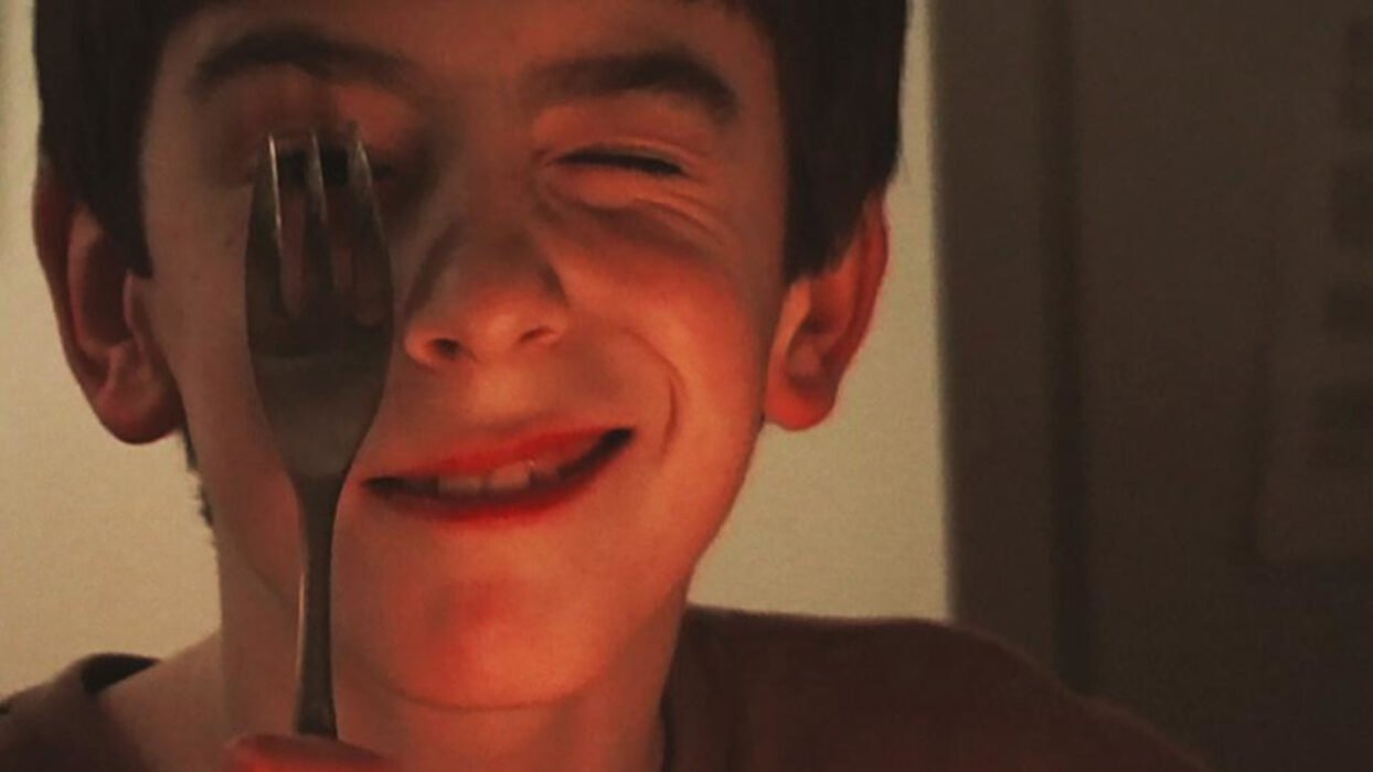 REMAKE (ROSS MCELWEE, 2026)