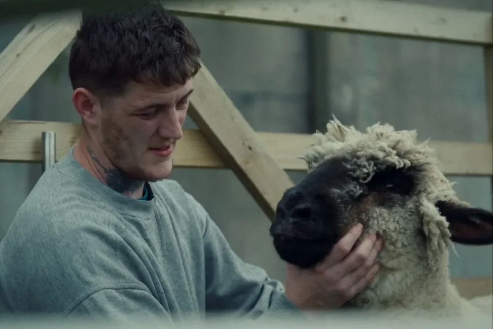 MAGILLIGAN (ROSS MCCLEAN, 2026)