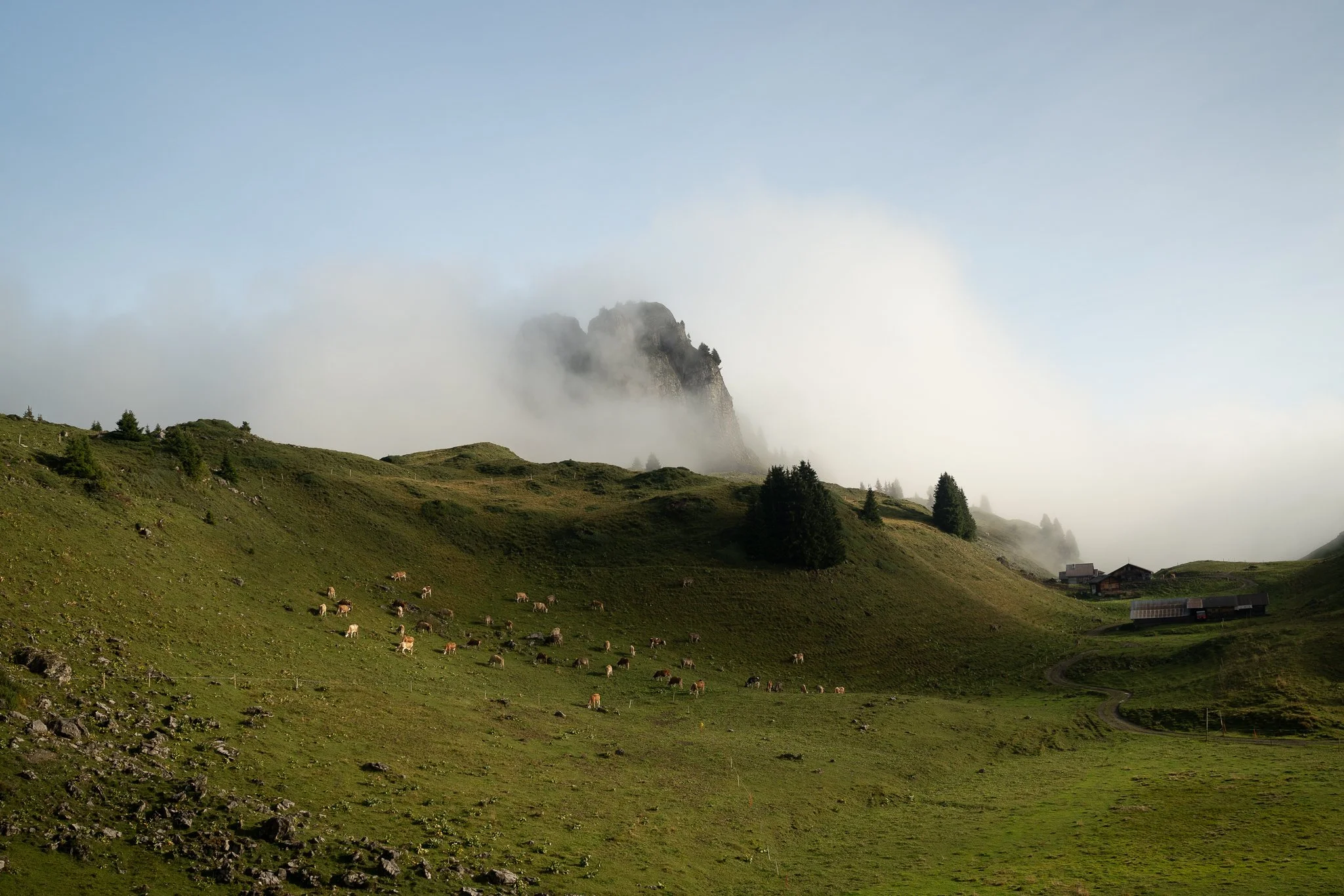 DSC05085.jpg