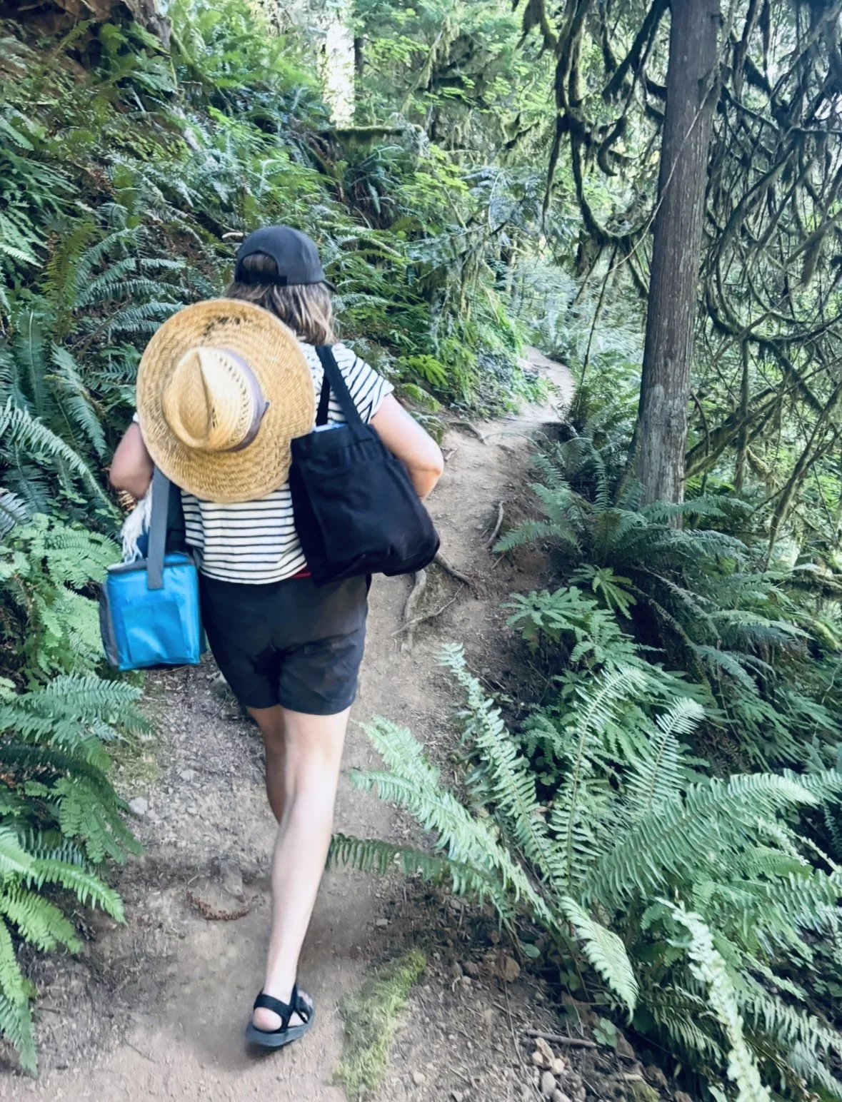 Immerse into nature