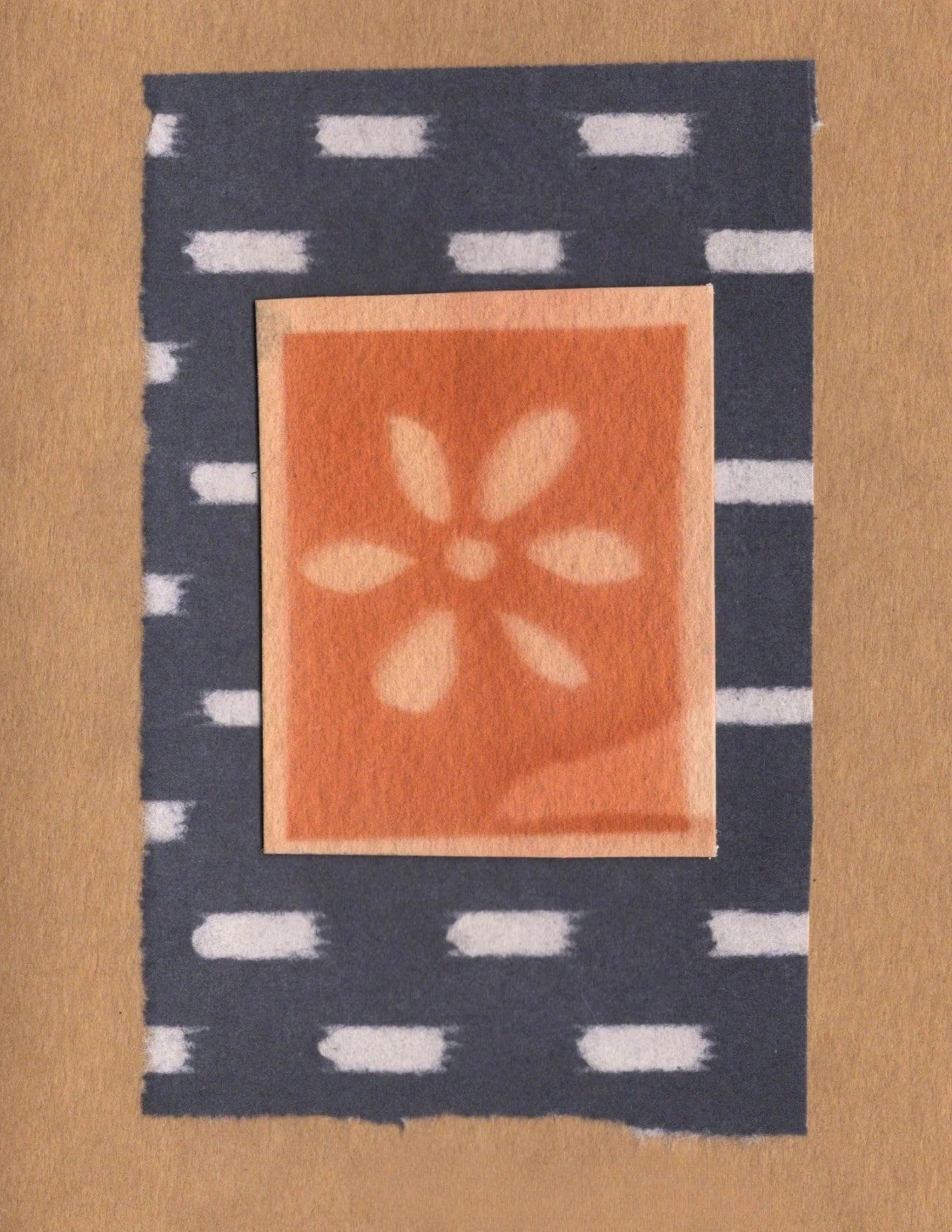 Anthotype, 2026