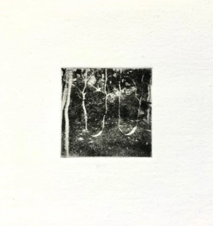 Kira Alexanian_Swingset.jpg