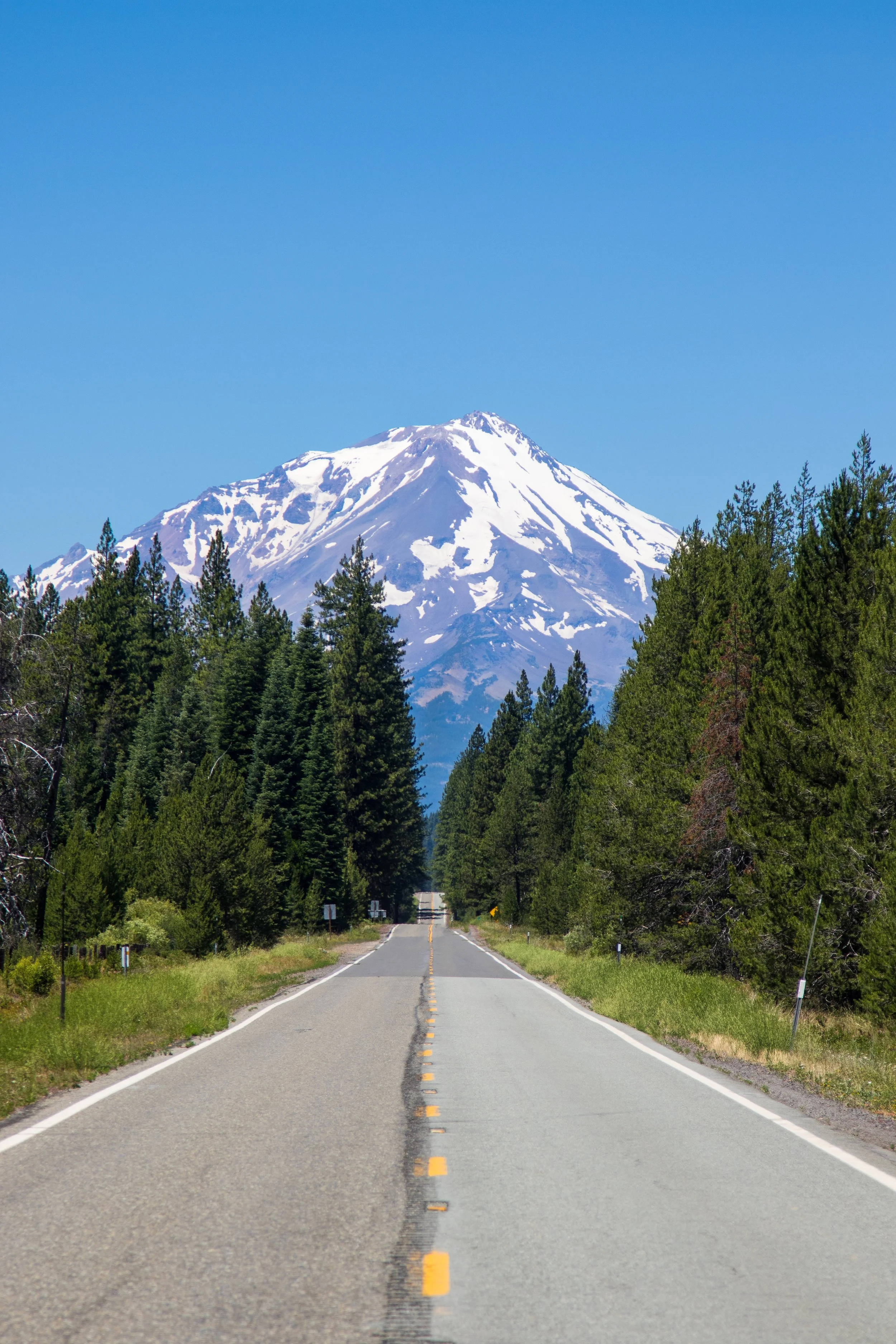 About Shasta View Lodge