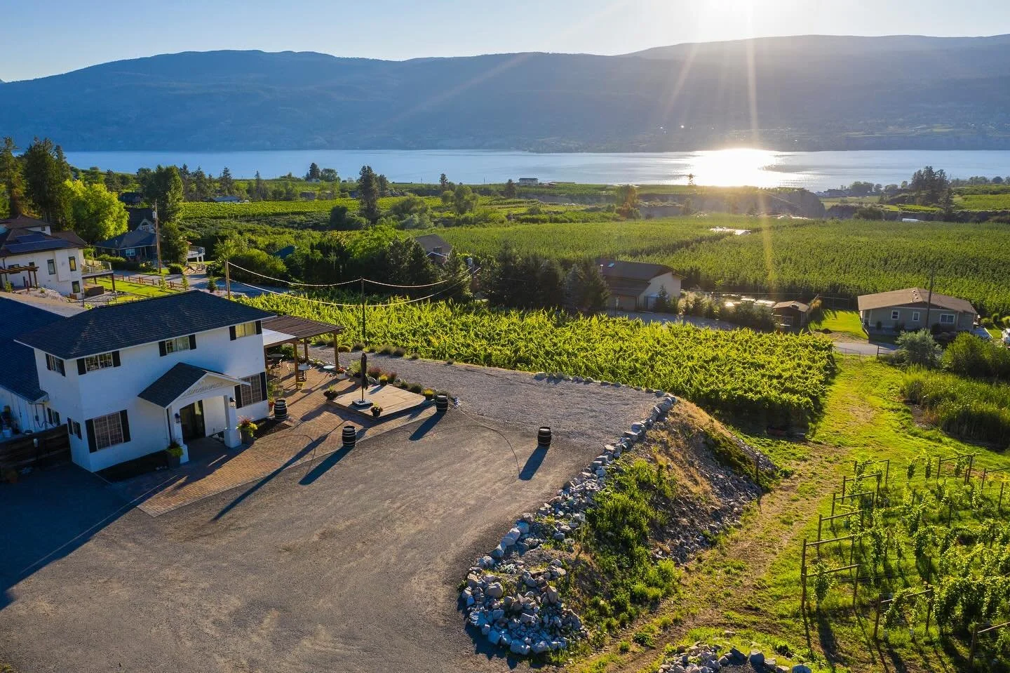 A scenic landscape featuring a vineyard, residential houses, a lake in the background, and mountains in the distance, with the sun setting over the scene.