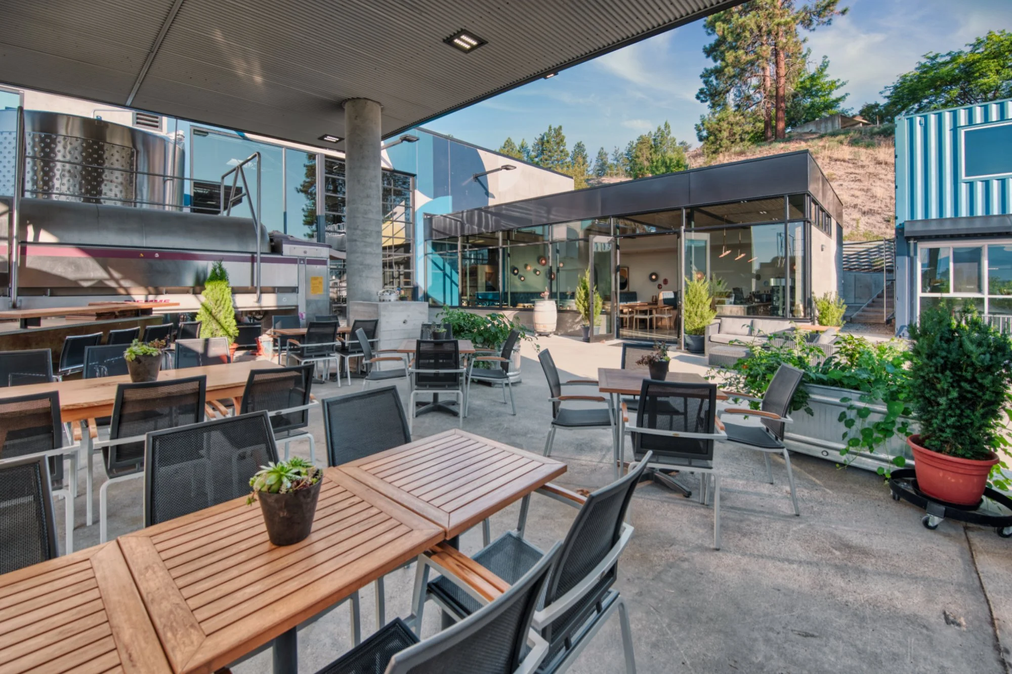 Haywire_Jul23__LTP7831 (1).jpeg