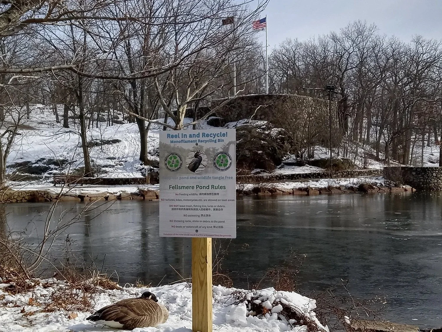 Join us in support of DCR at UMass Amherst