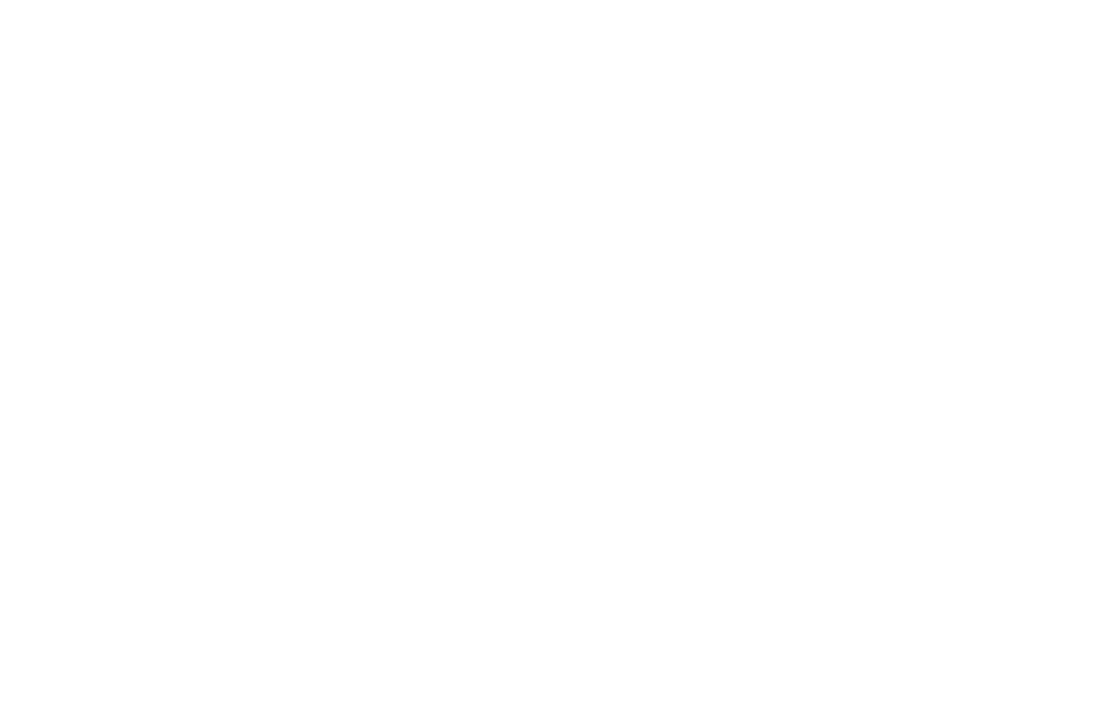 brandlivestudios.com