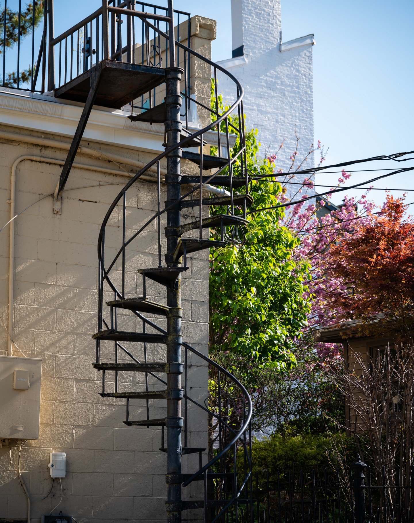 ALLEYS OF MADISON: This spiral staircase leads to a luxurious poolside lounge... in my imagination, anyway. Probably a plain ol' roof up there, but what a cool way to get there! #freewheelstudios #alleysofmadison #madisonindiana