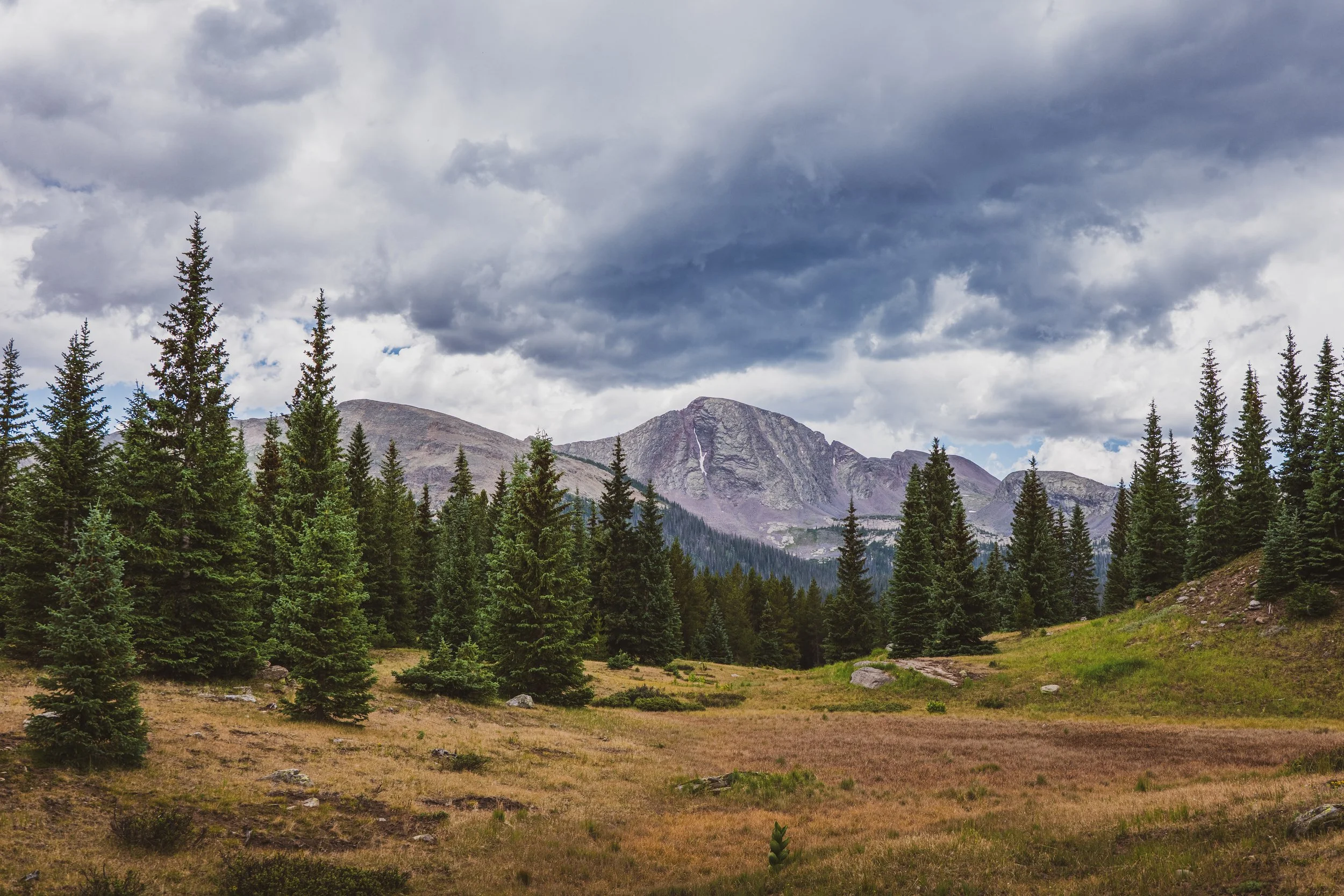 071426 Snowden.jpg