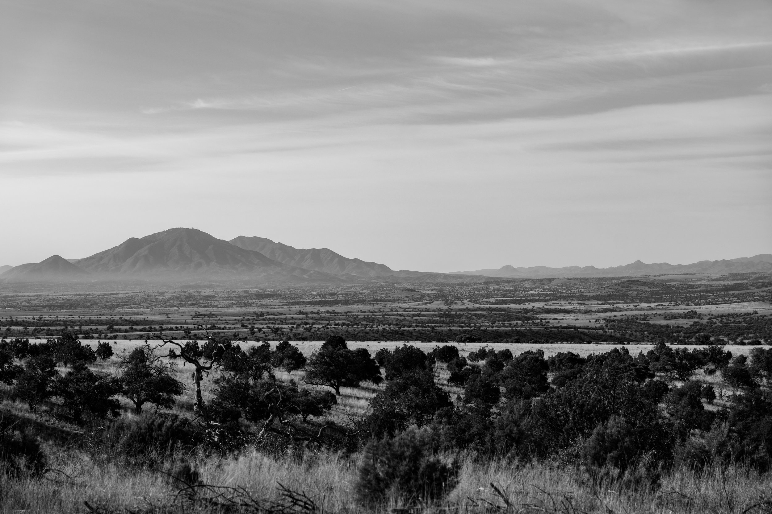 040224 Coronado BW.jpg