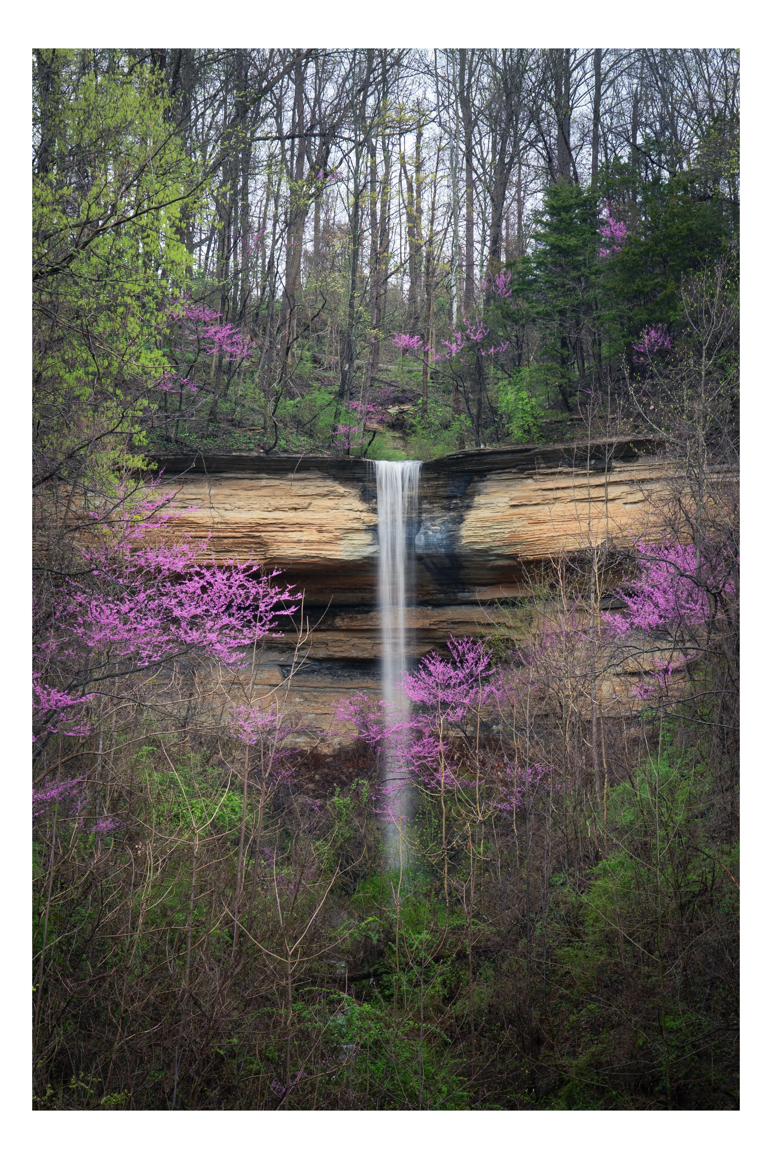 SPRINGFALL